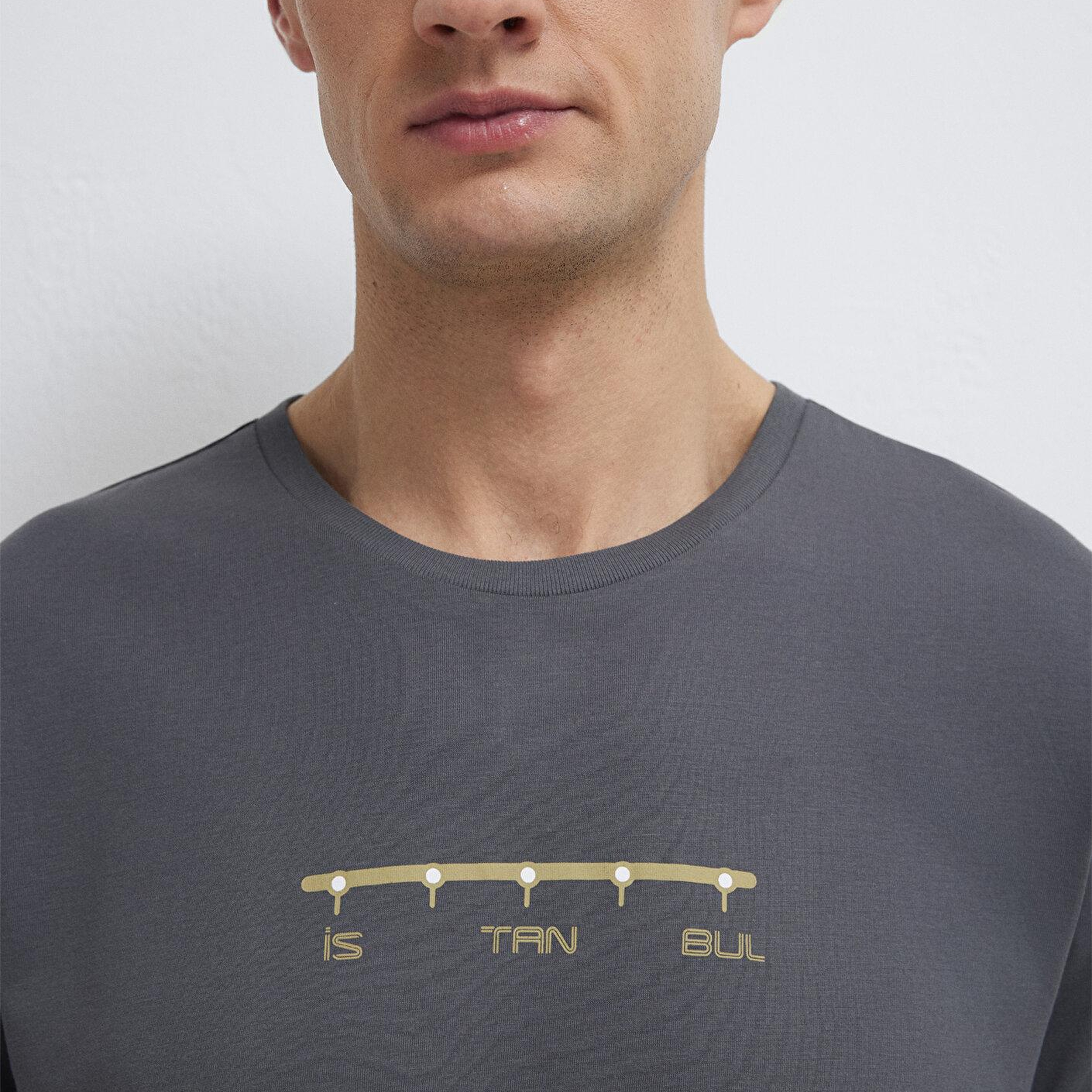 Mavi İstanbul Baskılı Gri Tişört Regular Fit / Normal Kesim 0612452-85309