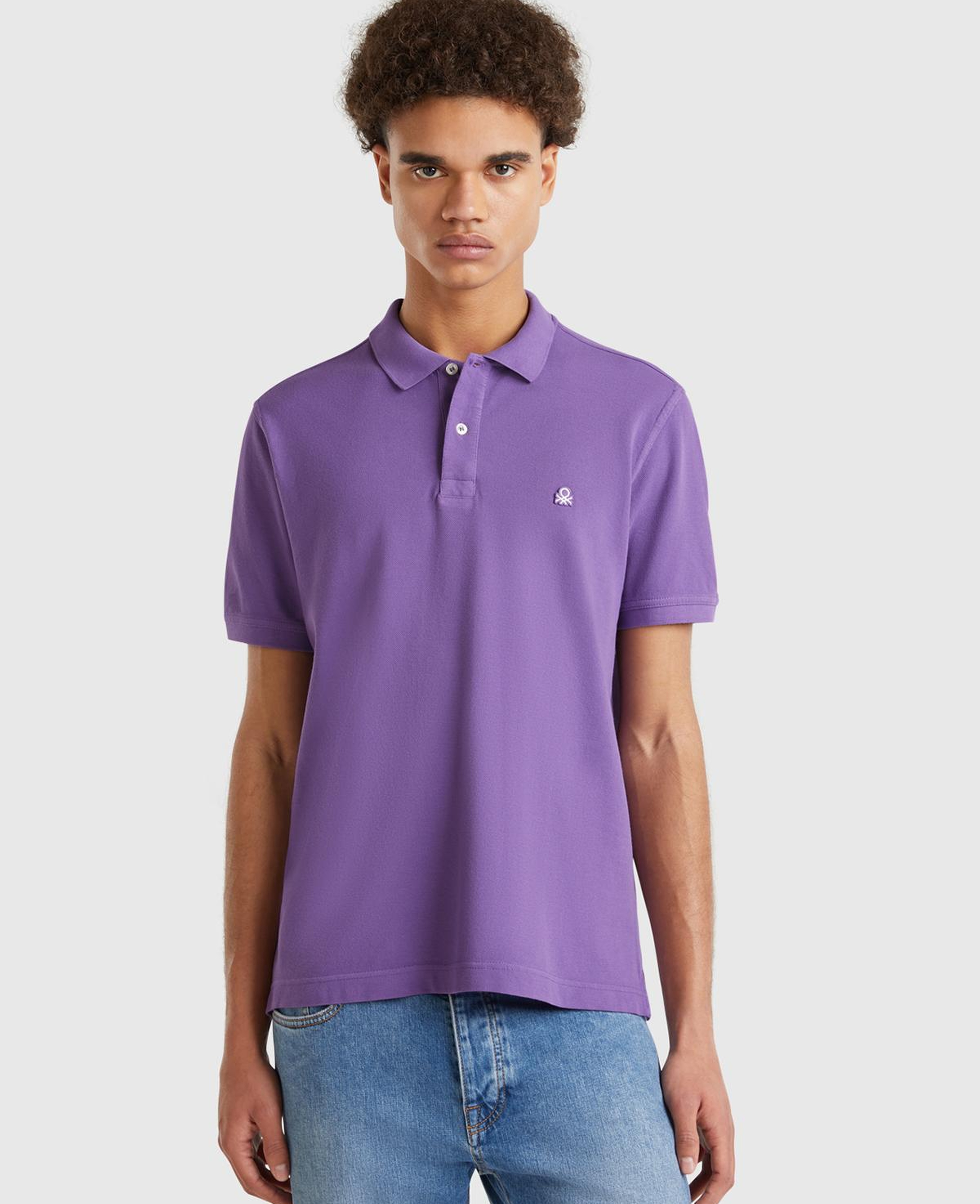 Erkek Lavanta Moru Regular Fit Kısa Kollu Polo T-Shirt