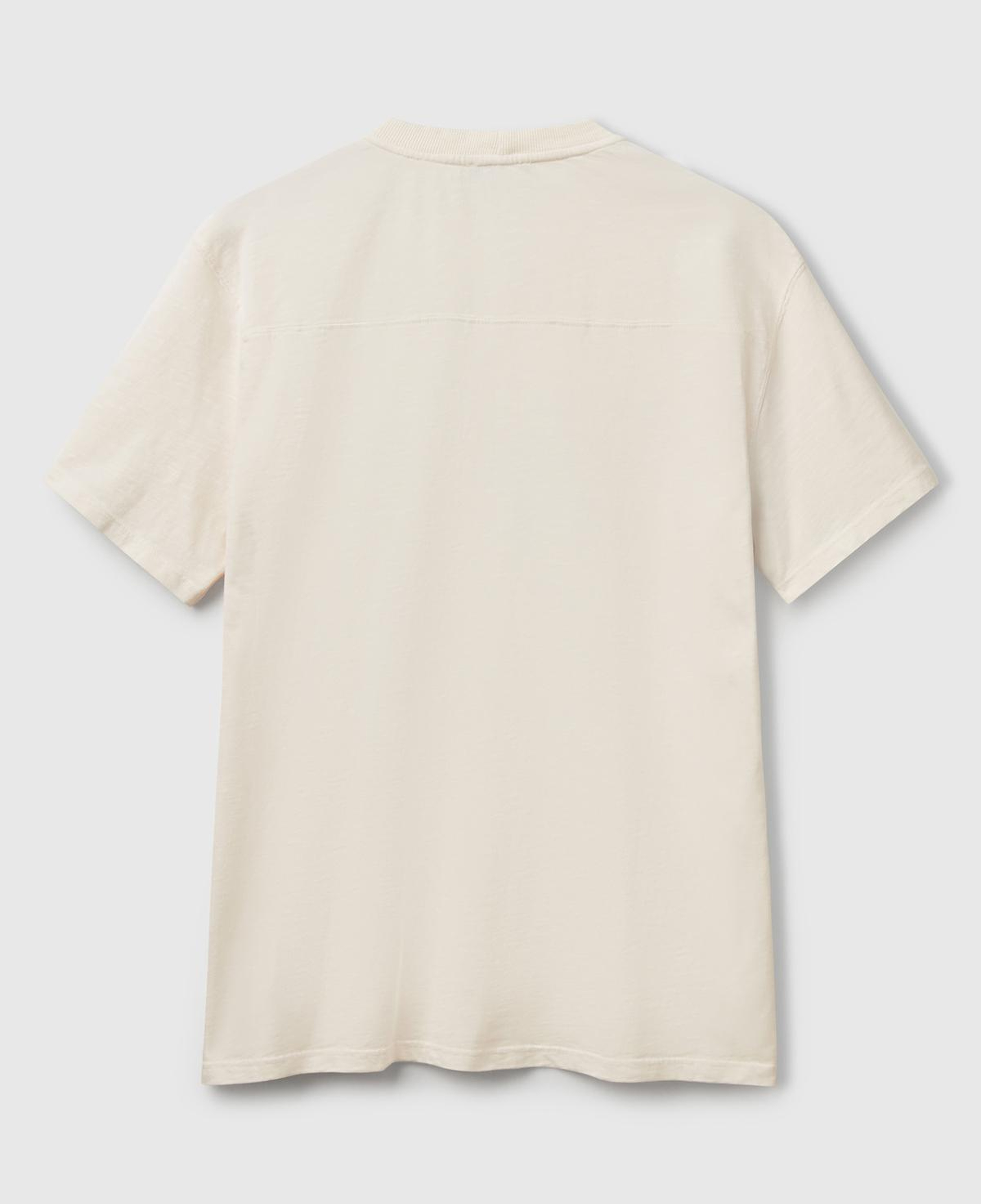 Erkek Bej-Yeşil %100 Pamuk Yıpranmış Efektli Önü Baskılı Relax Fit T-Shirt