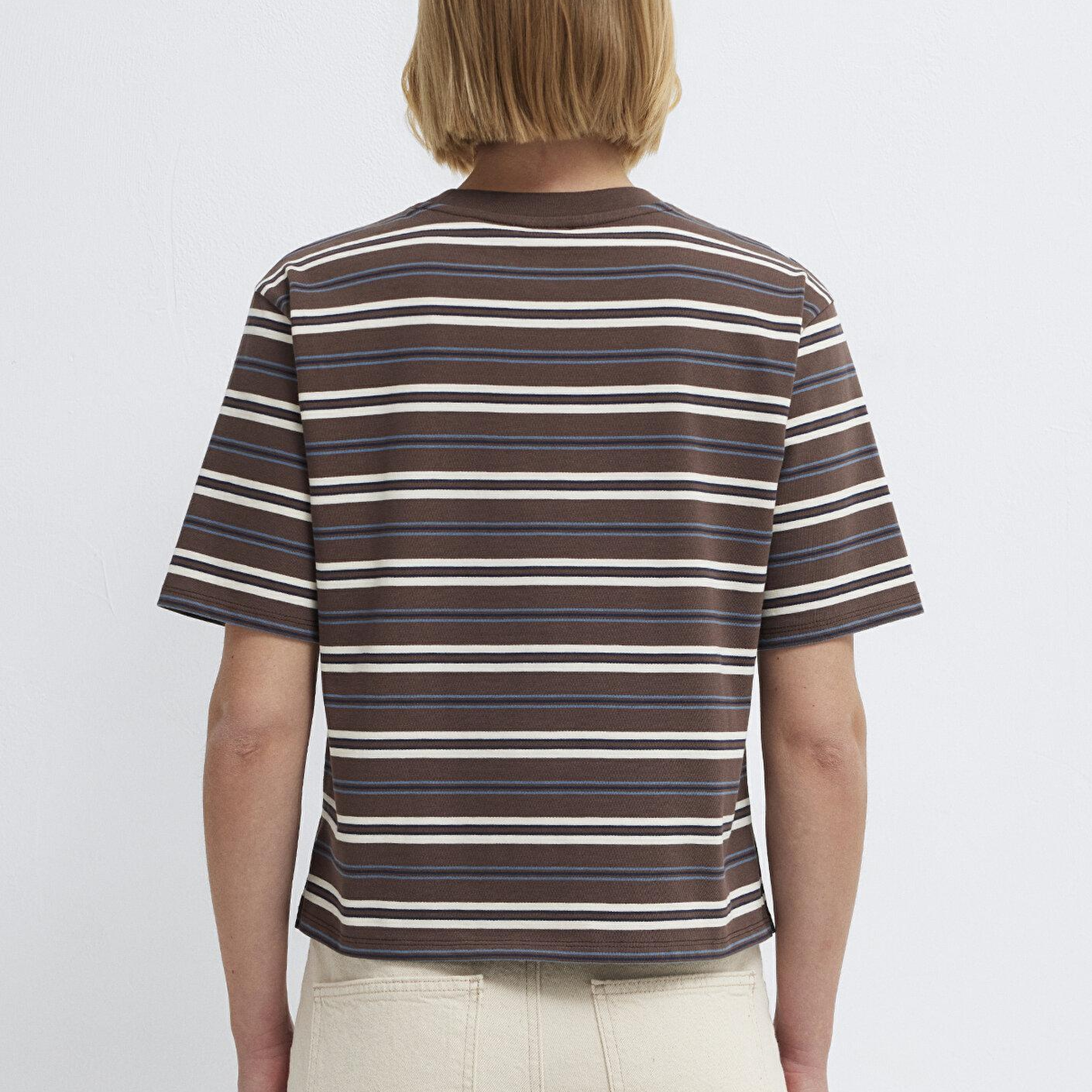 Mavi Çizgili Kahverengi Tişört Regular Fit / Normal Kesim 1613979-91516