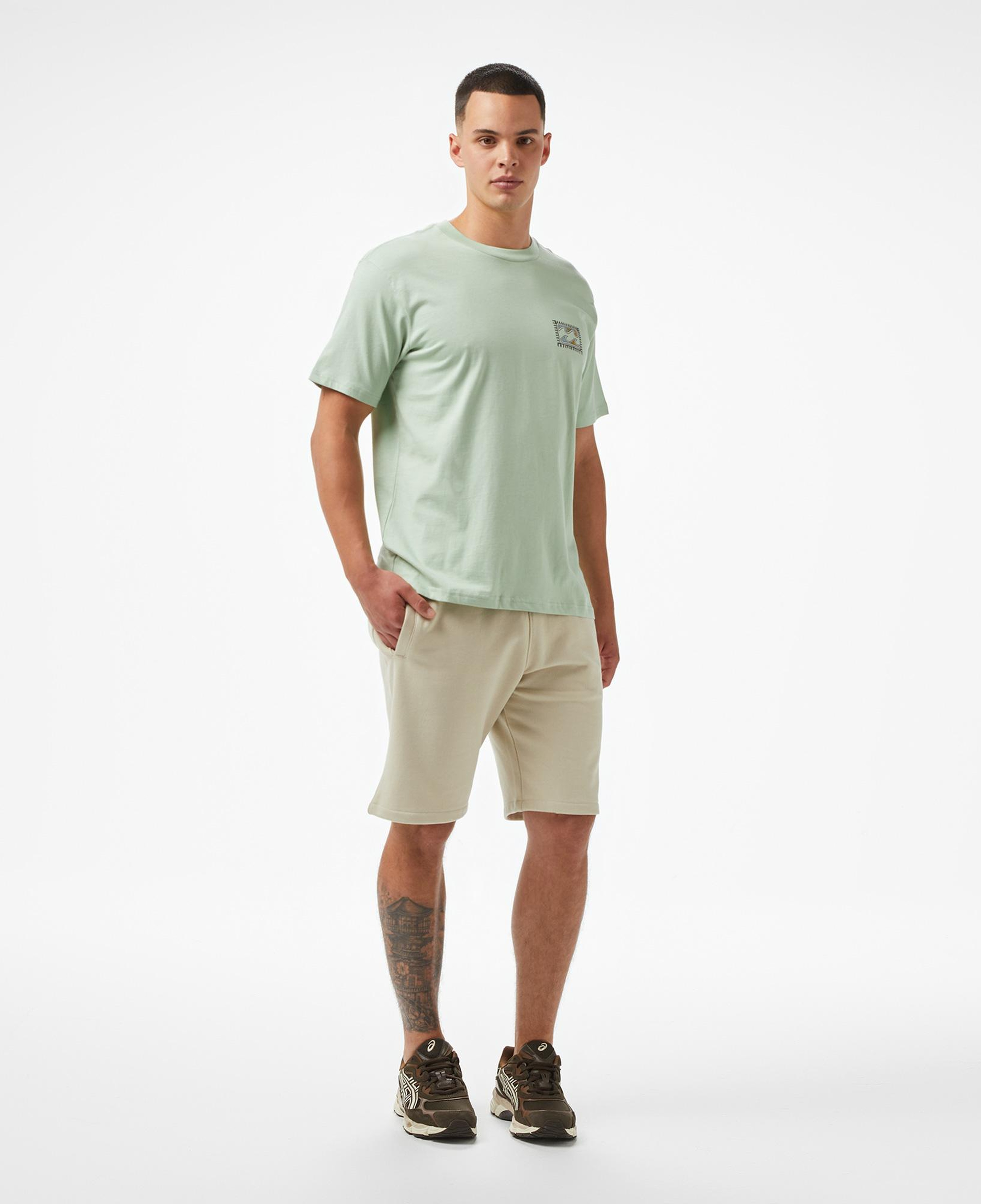Billabong Twin Peaks Regular Erkek Yeşil T-Shirt