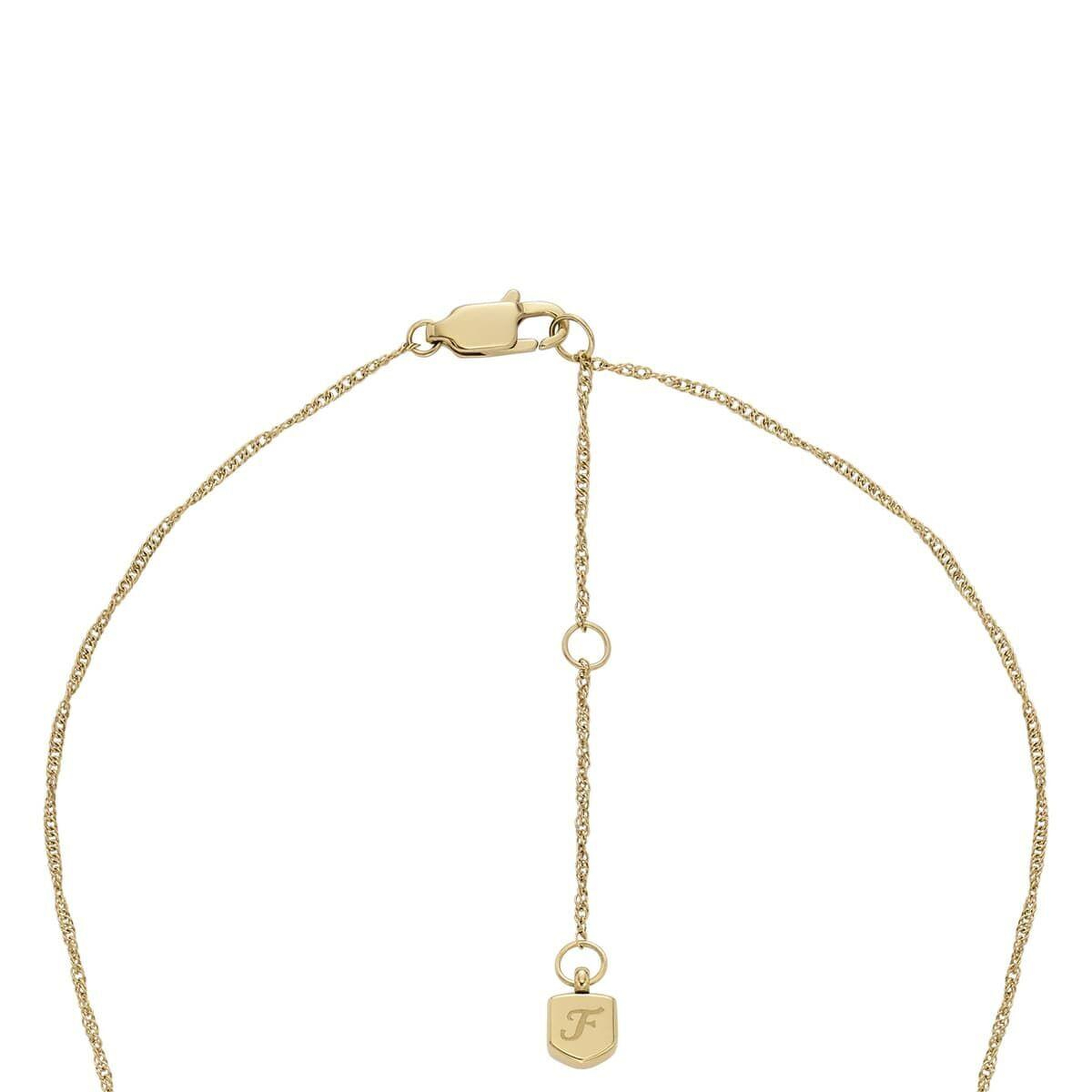 Fossil JF04793-710 Kadın Kolye