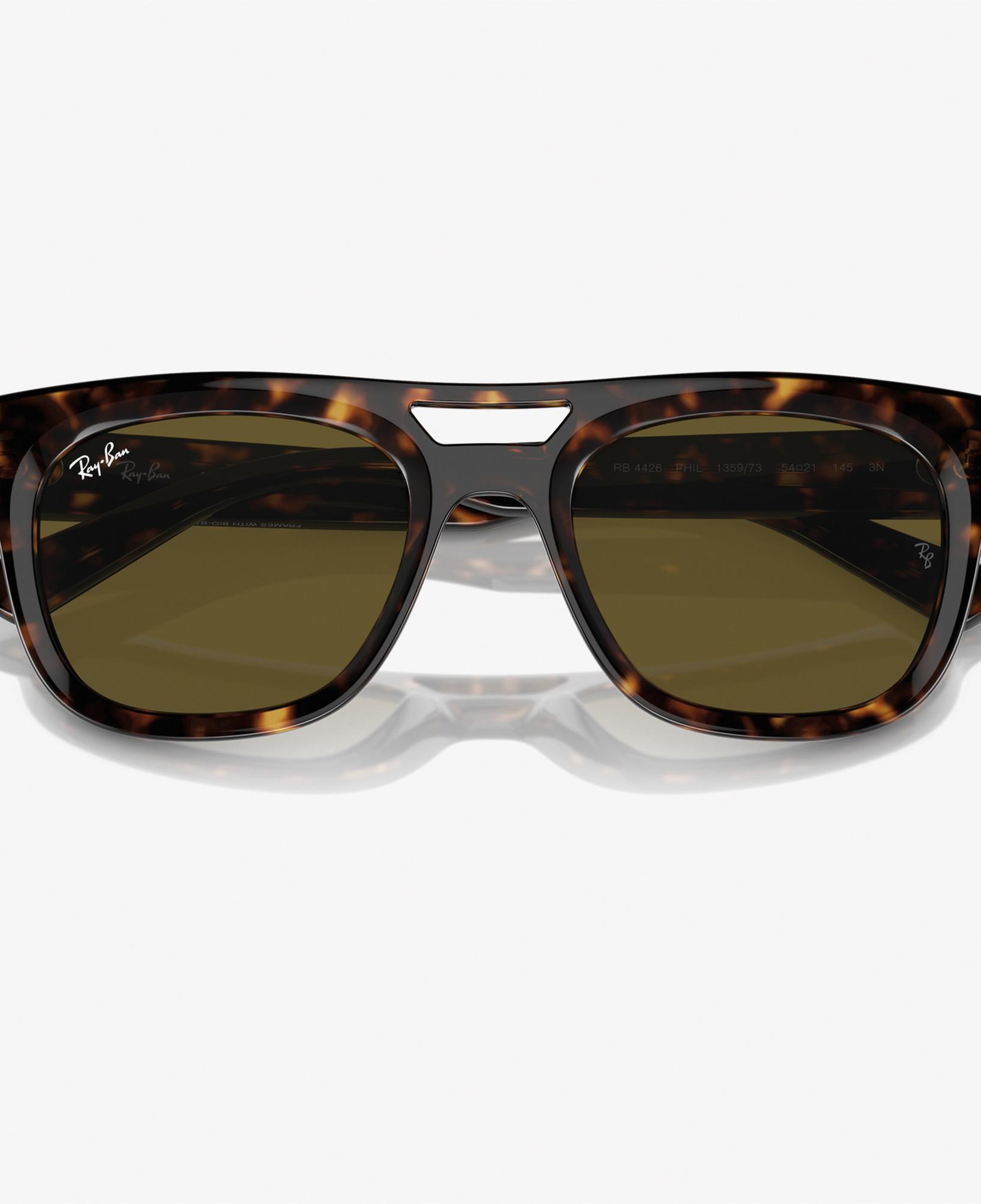 RAY-BAN 0RB4426 Injected Unisex Kahverengi Güneş Gözlüğü