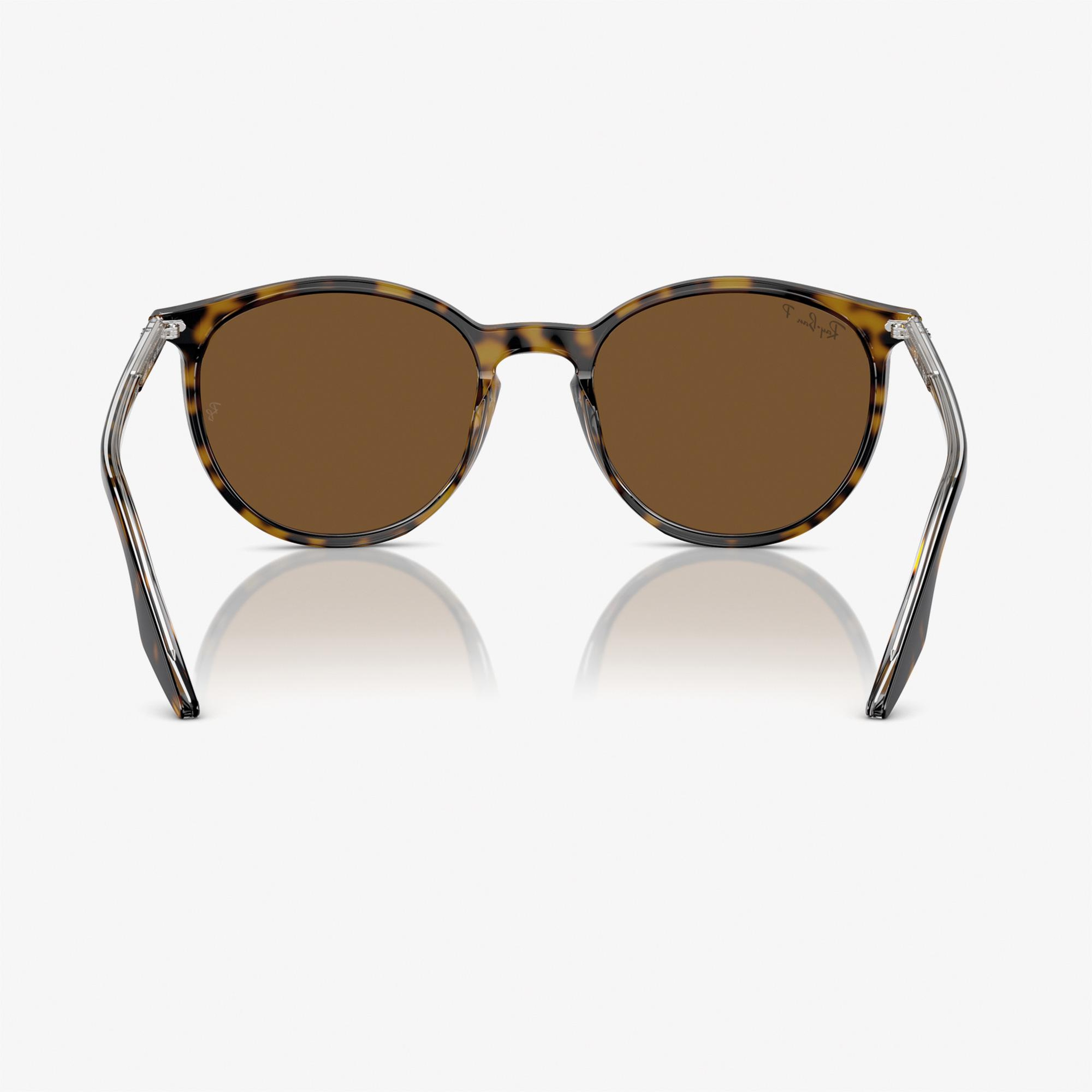RAY-BAN 0RB2204 Acetate Unisex Kahverengi Güneş Gözlüğü