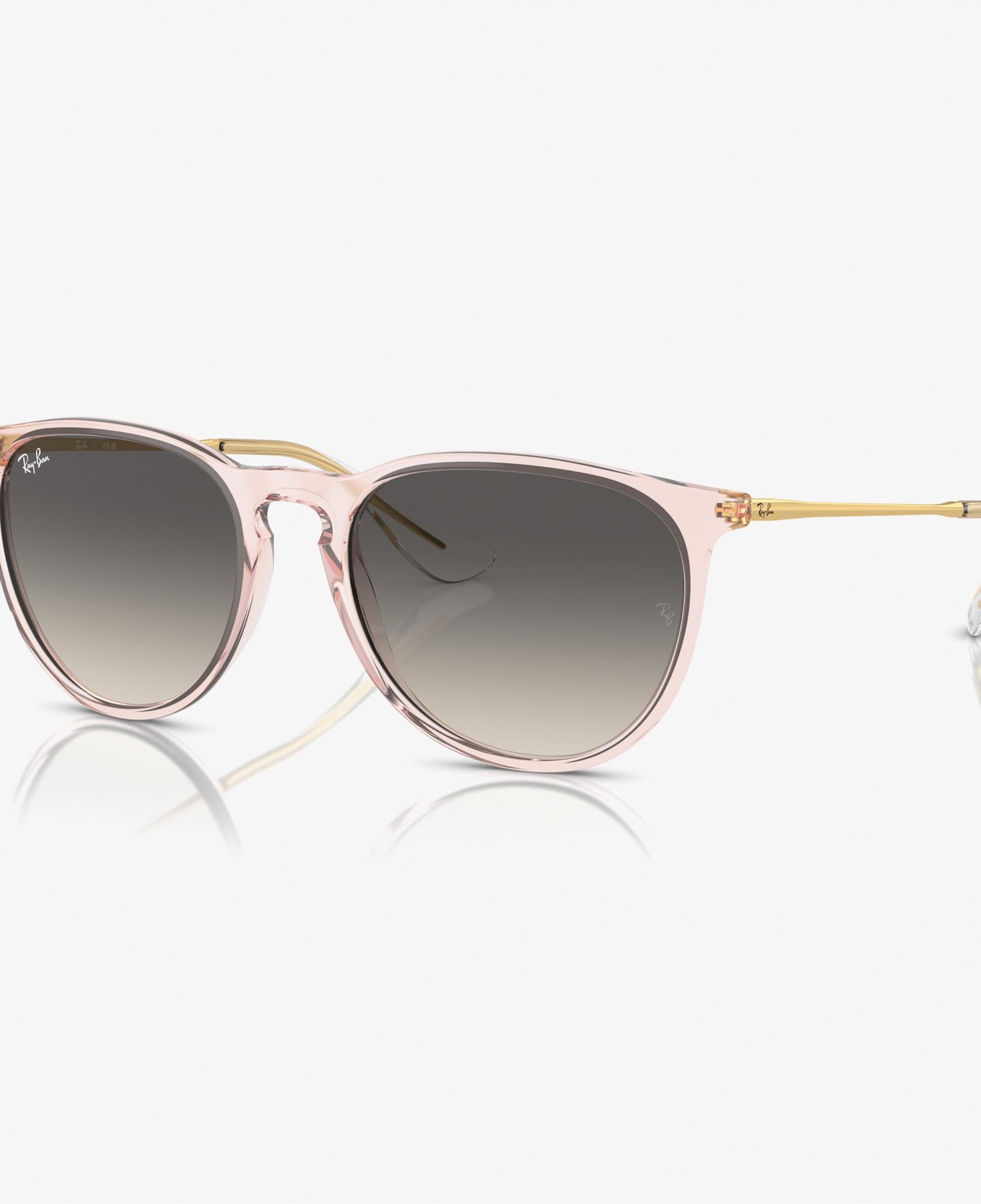 RAY-BAN 0RB4171 Nylon Kadın Pembe Güneş Gözlüğü