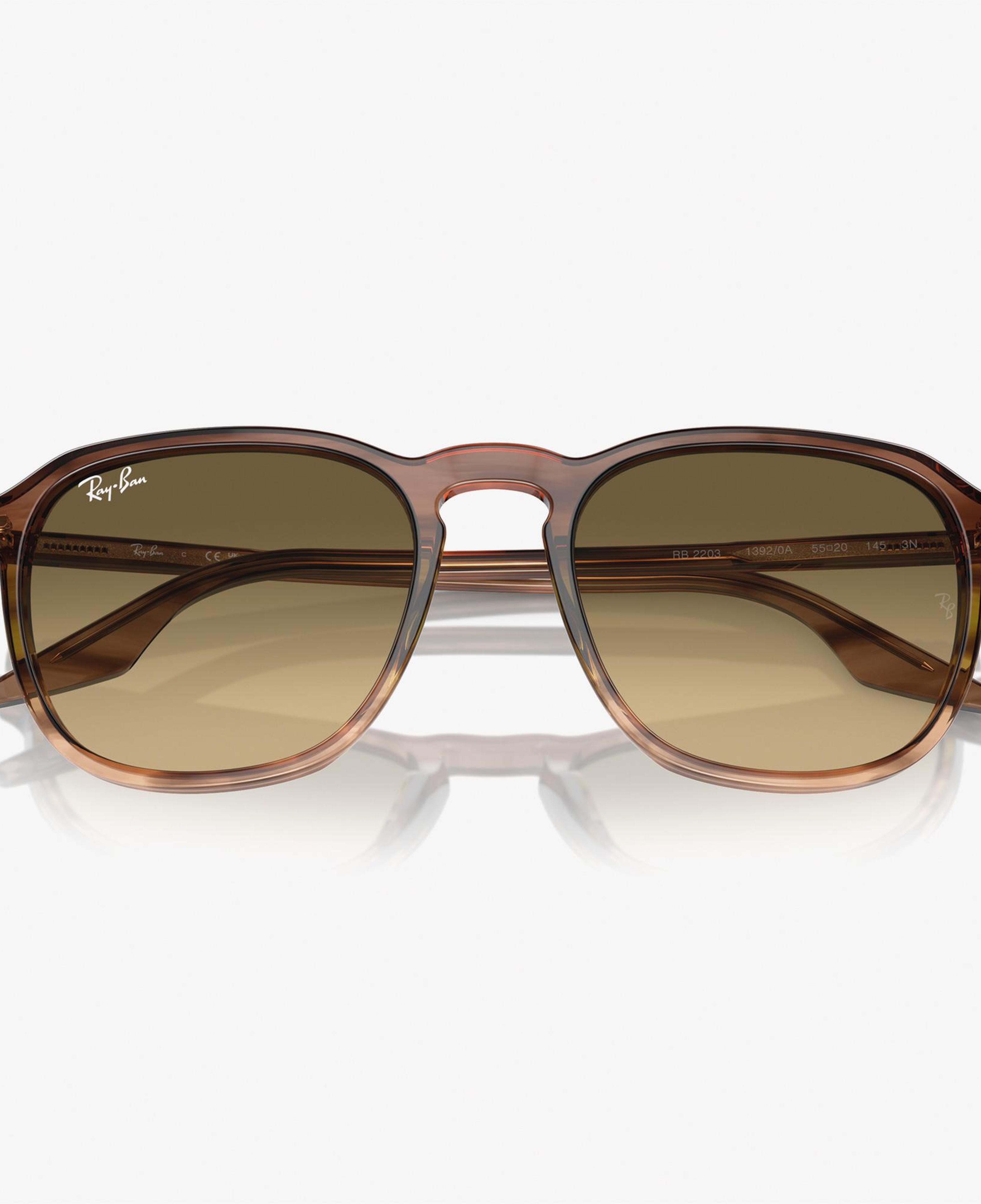 RAY-BAN 0RB2203 Acetate Unisex Kahverengi Güneş Gözlüğü
