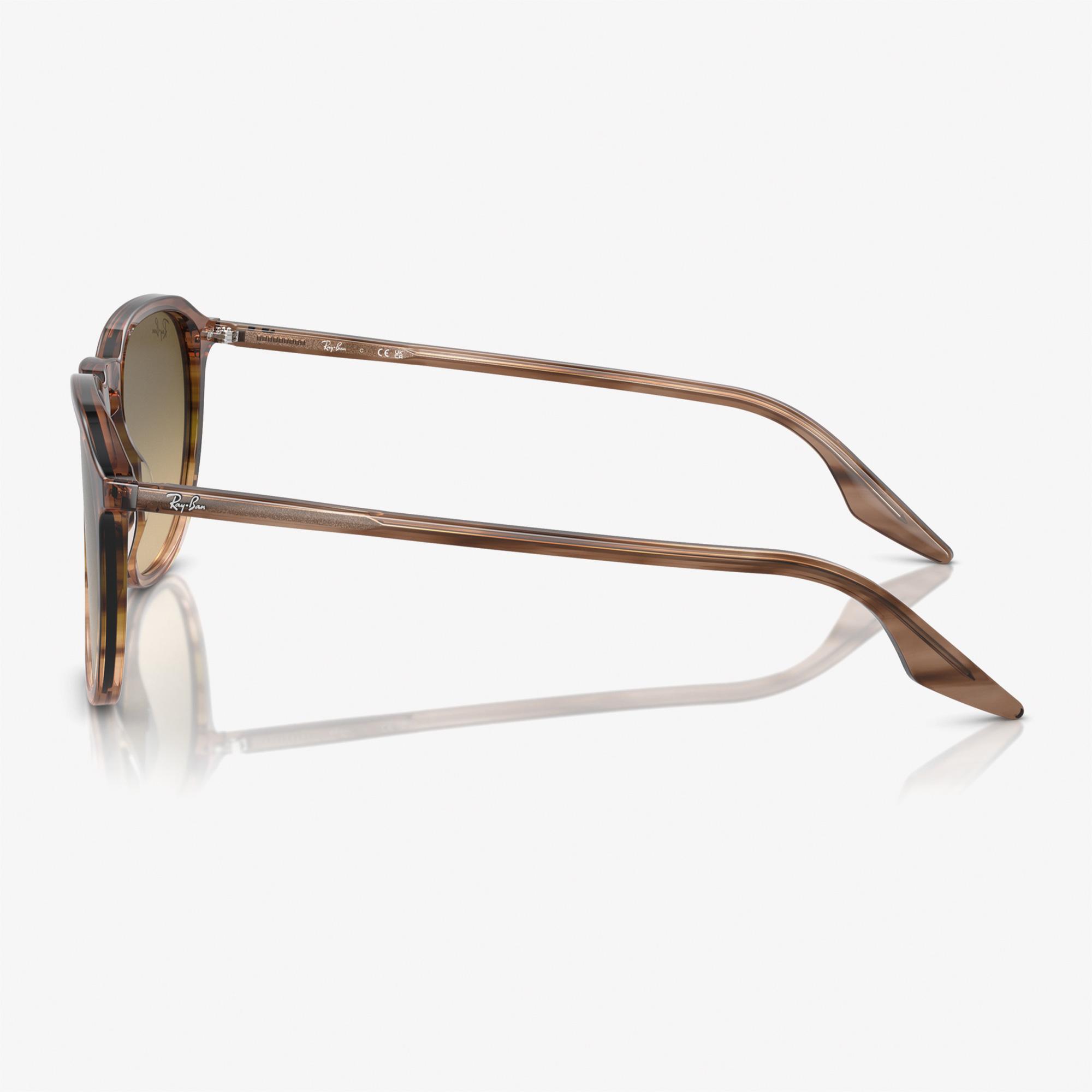 RAY-BAN 0RB2203 Acetate Unisex Kahverengi Güneş Gözlüğü