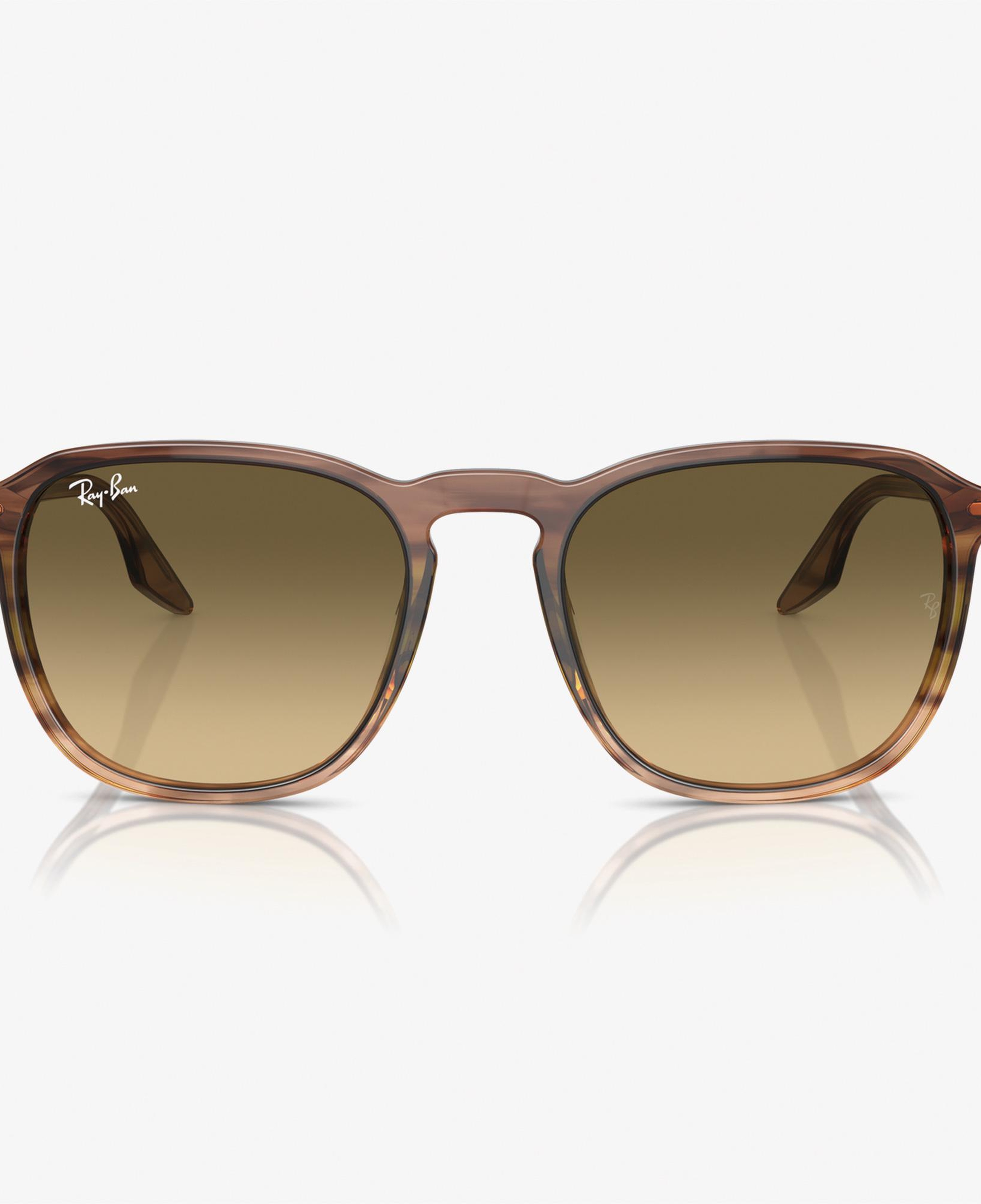 RAY-BAN 0RB2203 Acetate Unisex Kahverengi Güneş Gözlüğü