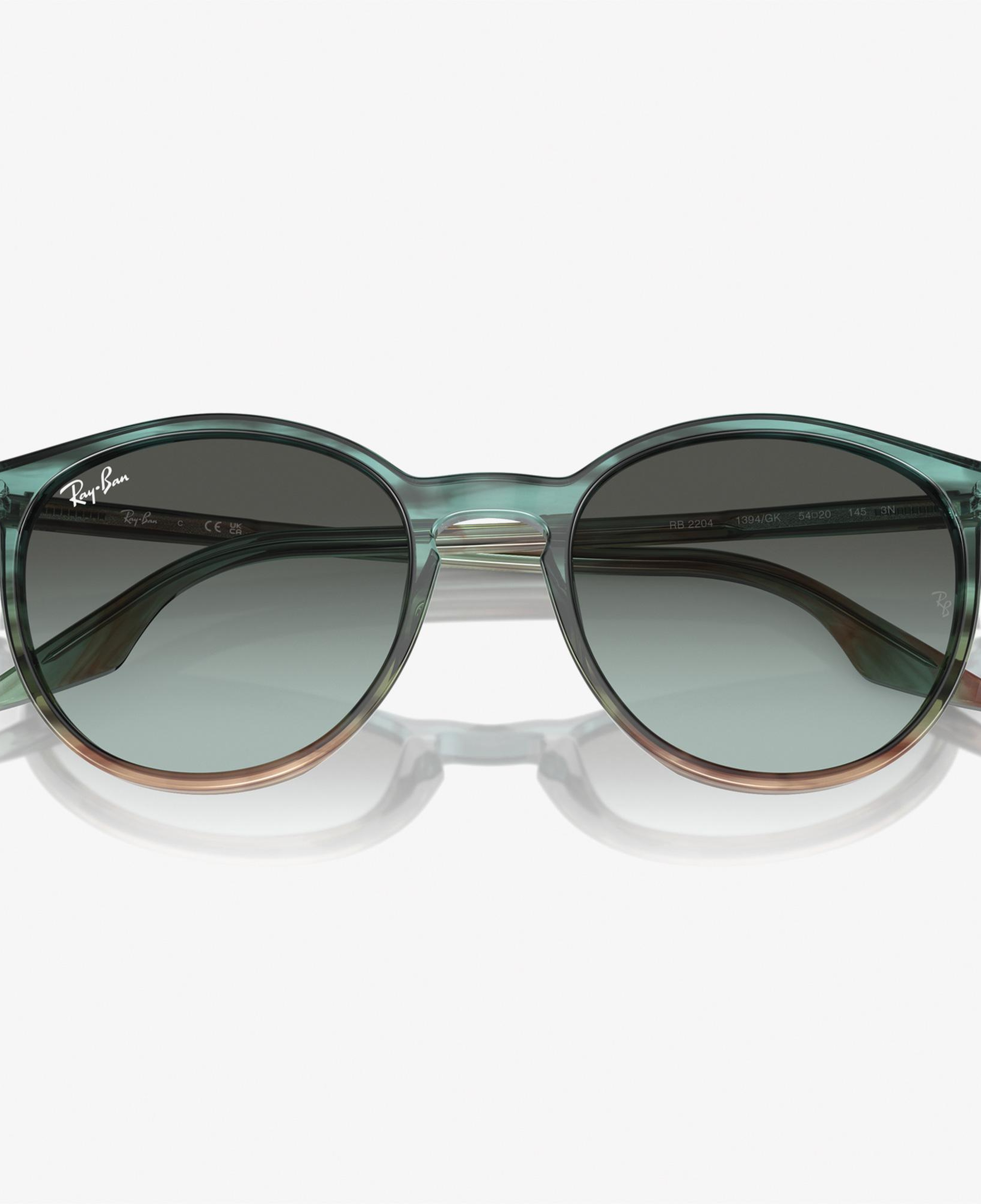 RAY-BAN 0RB2204 Acetate Unisex Yeşil Güneş Gözlüğü