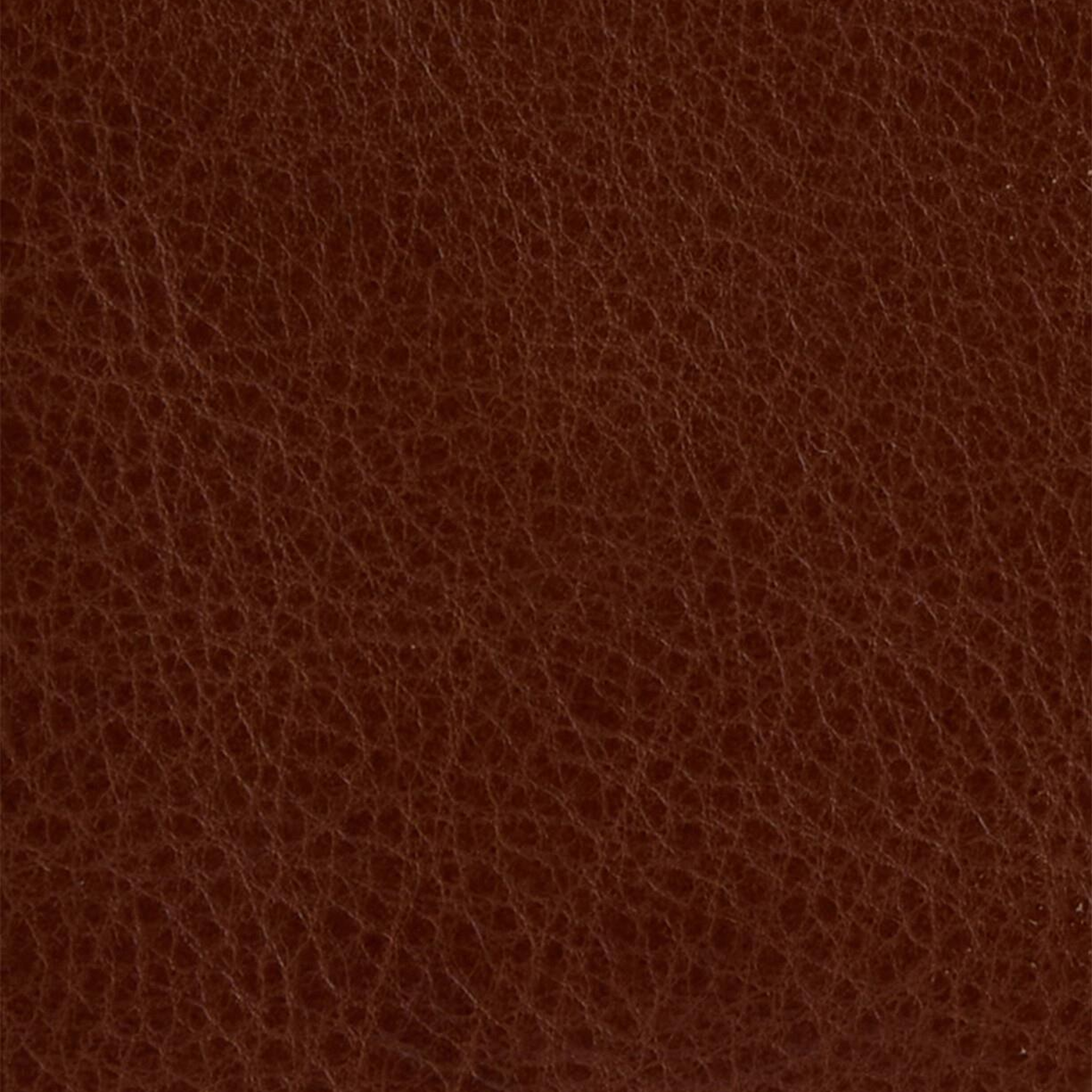 Barbour Lunan Leather Billfold Cüzdan