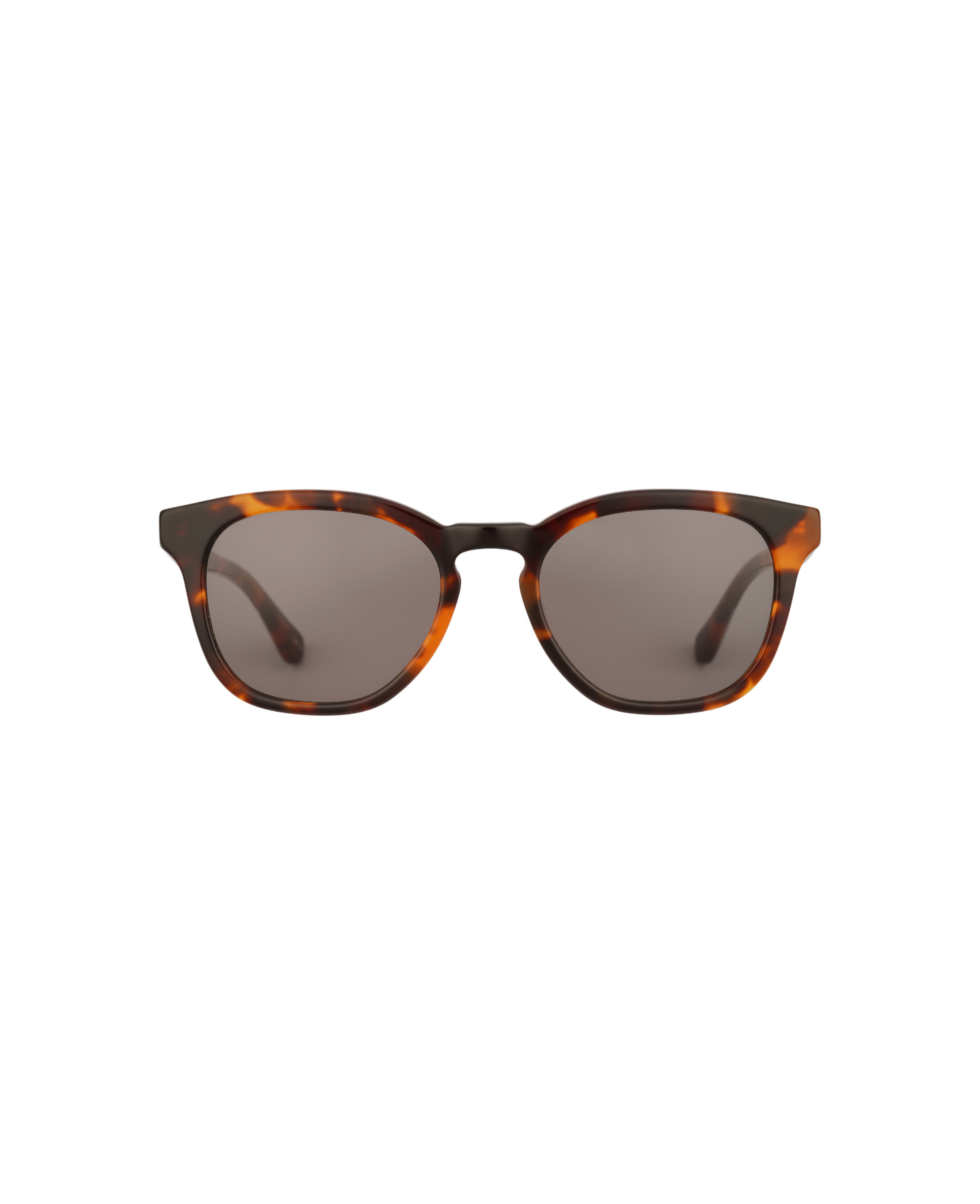 Barbour BA8108 Güneş Gözlüğü