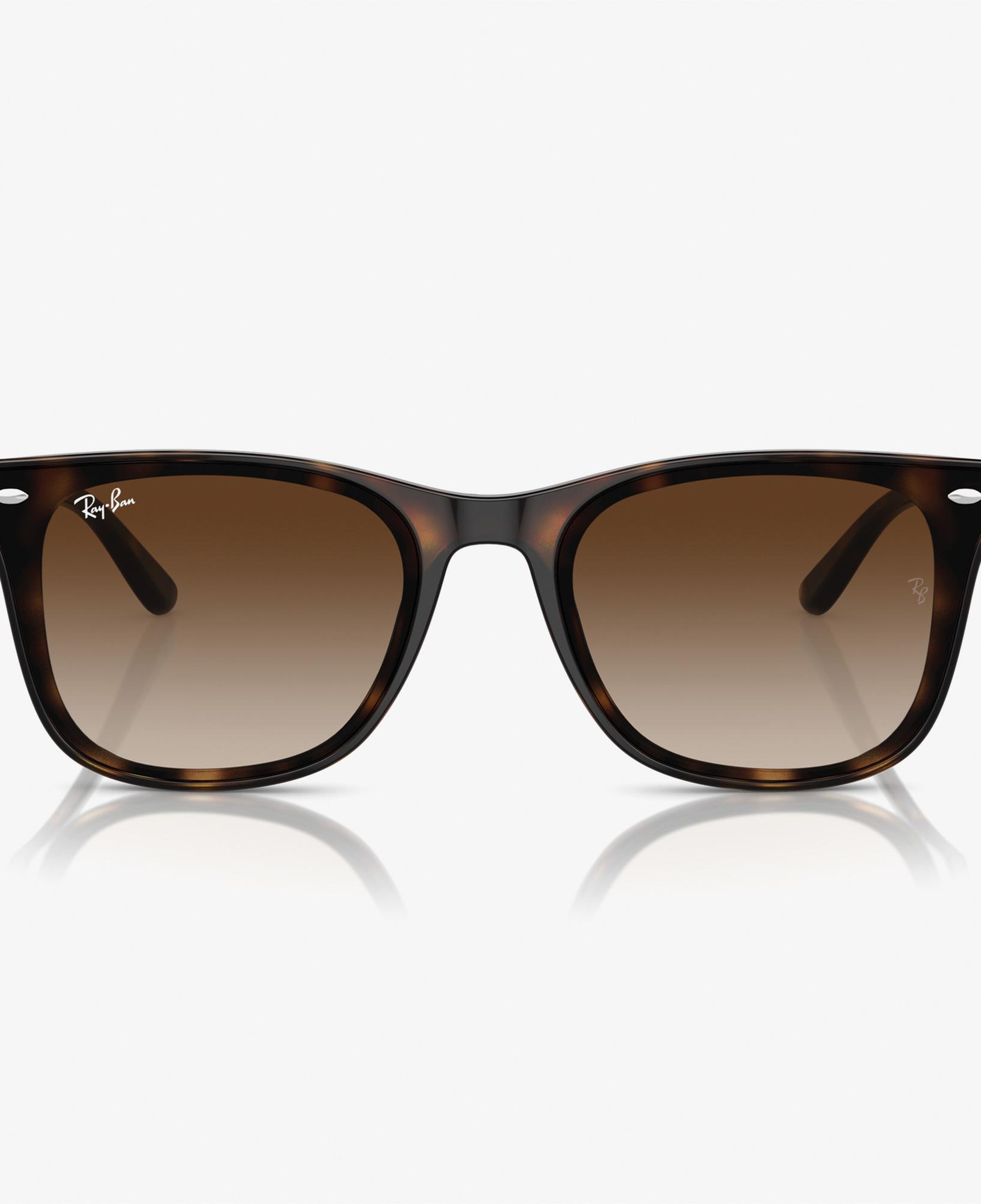 RAY-BAN 0RB4420 Injected Unisex Kahverengi Güneş Gözlüğü