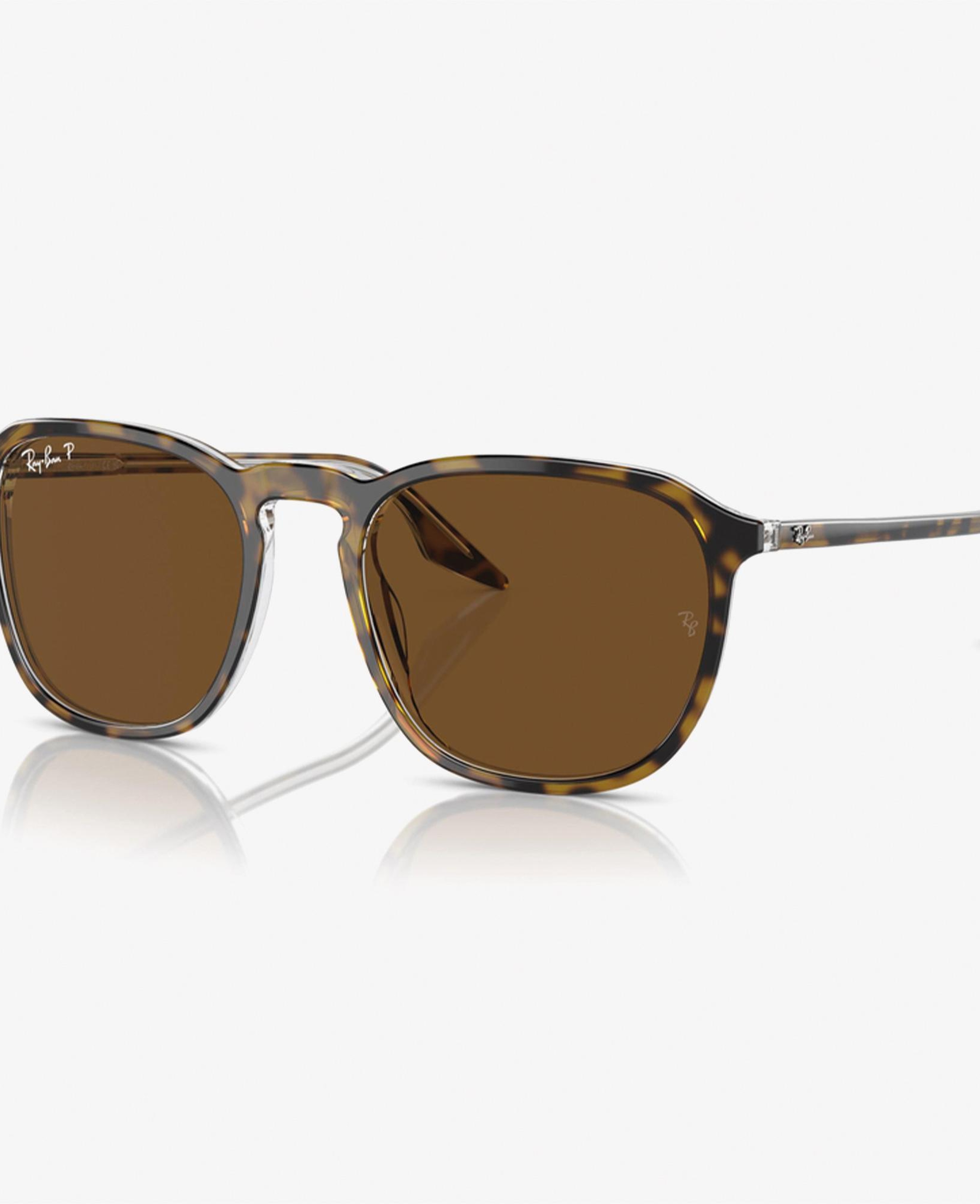 RAY-BAN 0RB2203 Acetate Unisex Kahverengi Güneş Gözlüğü