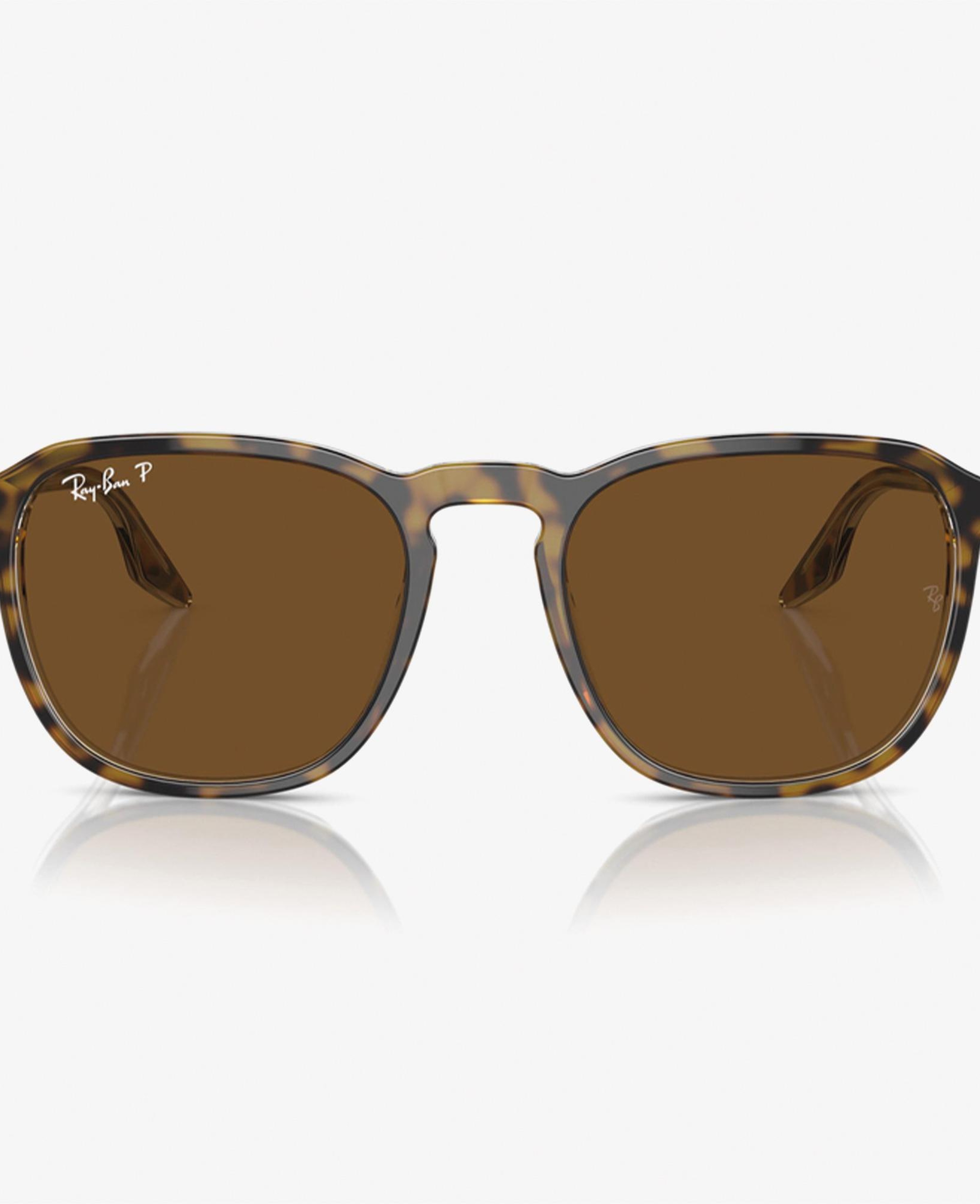 RAY-BAN 0RB2203 Acetate Unisex Kahverengi Güneş Gözlüğü