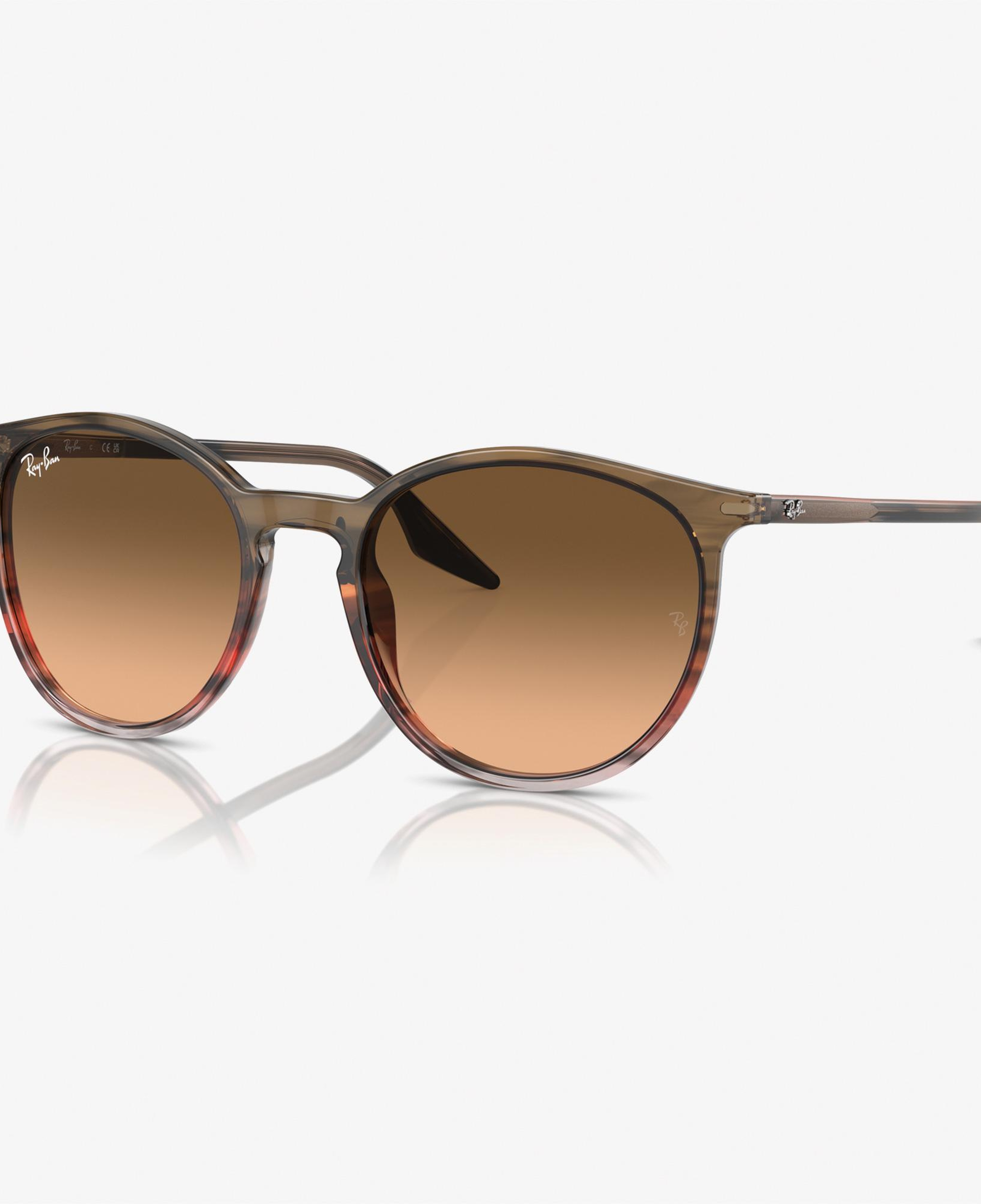 RAY-BAN 0RB2204 Acetate Unisex Kahverengi Güneş Gözlüğü