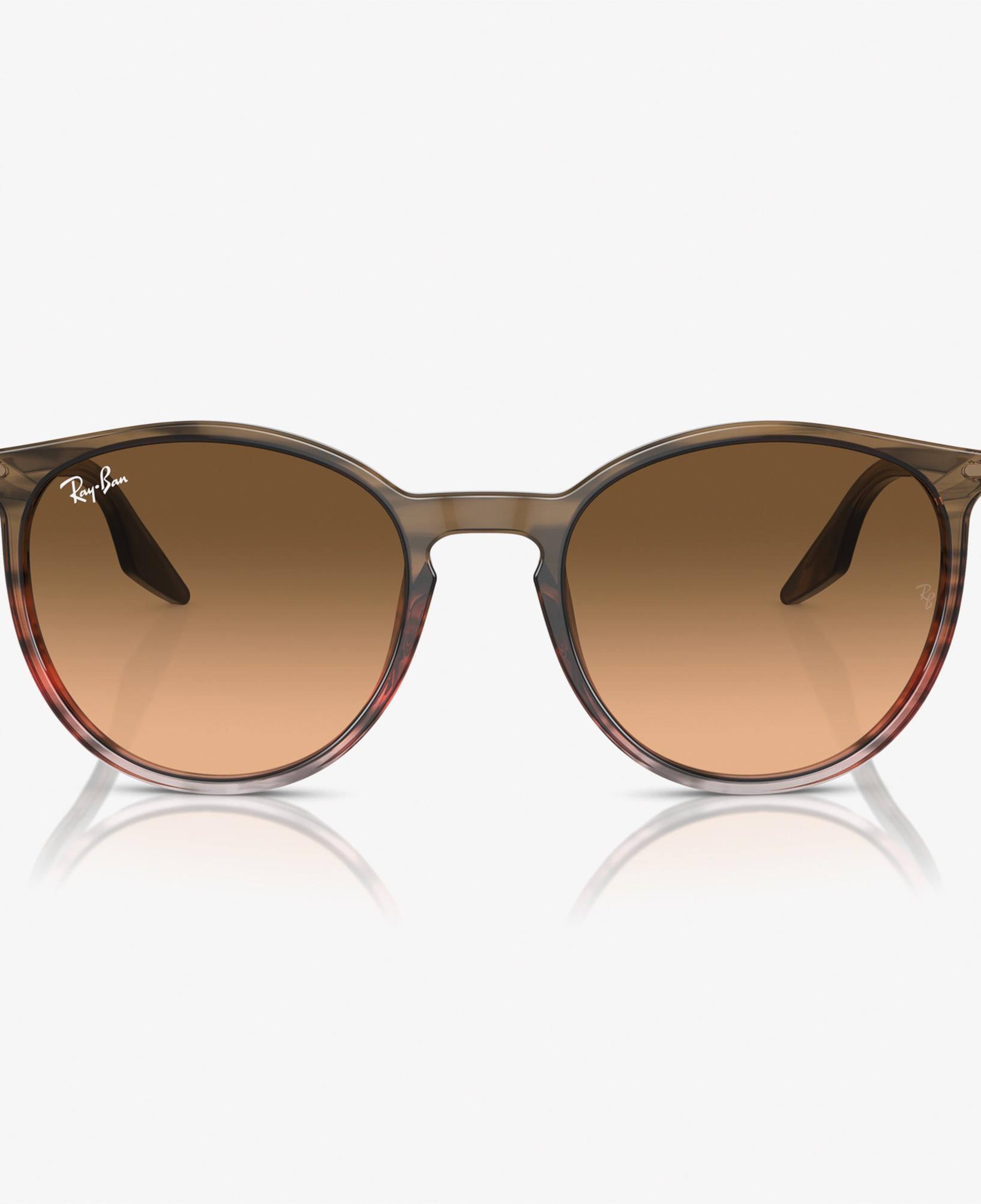 RAY-BAN 0RB2204 Acetate Unisex Kahverengi Güneş Gözlüğü