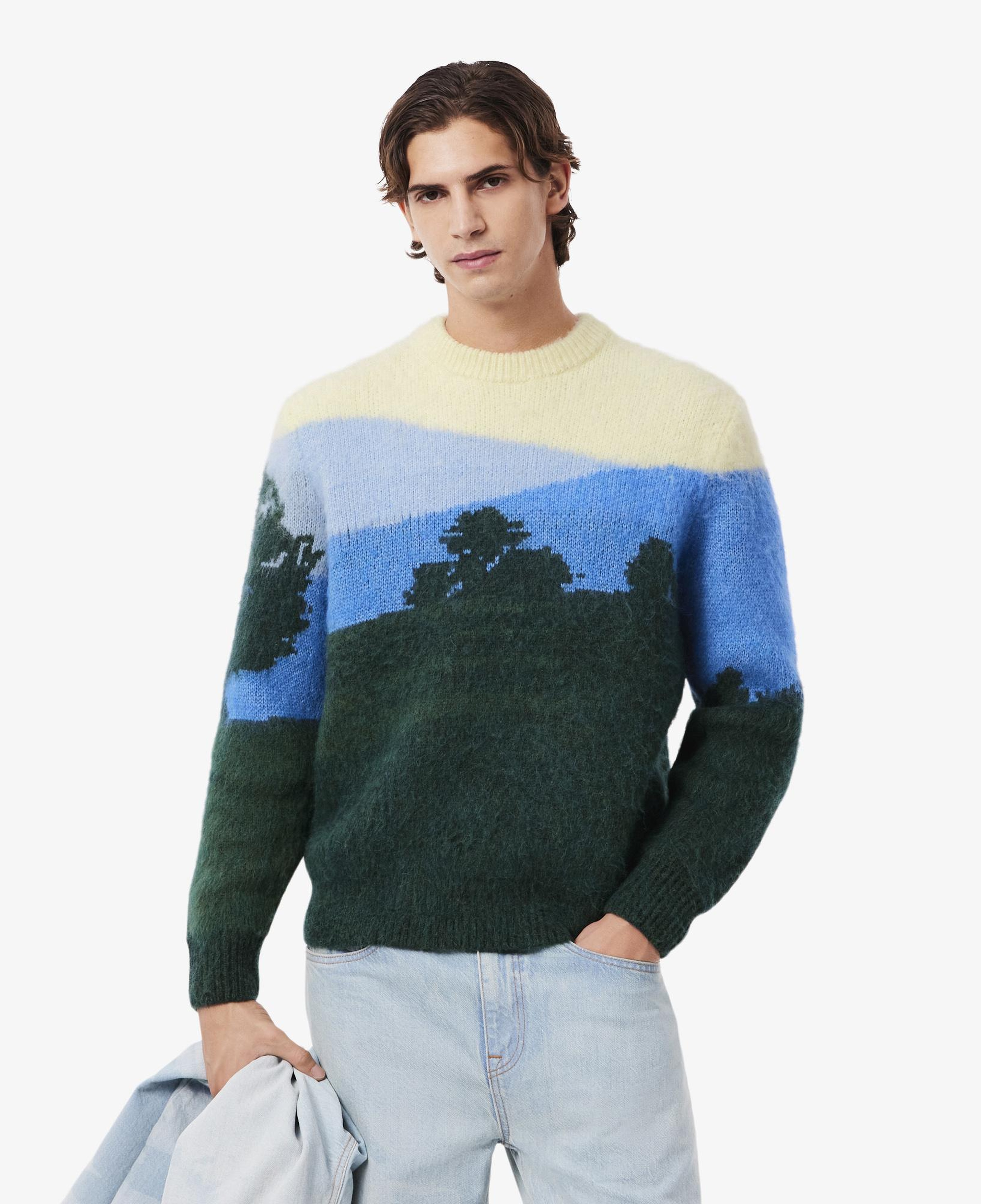 Lacoste Erkek Classic Fit Bisiklet Yaka Desenli Renkli Kazak