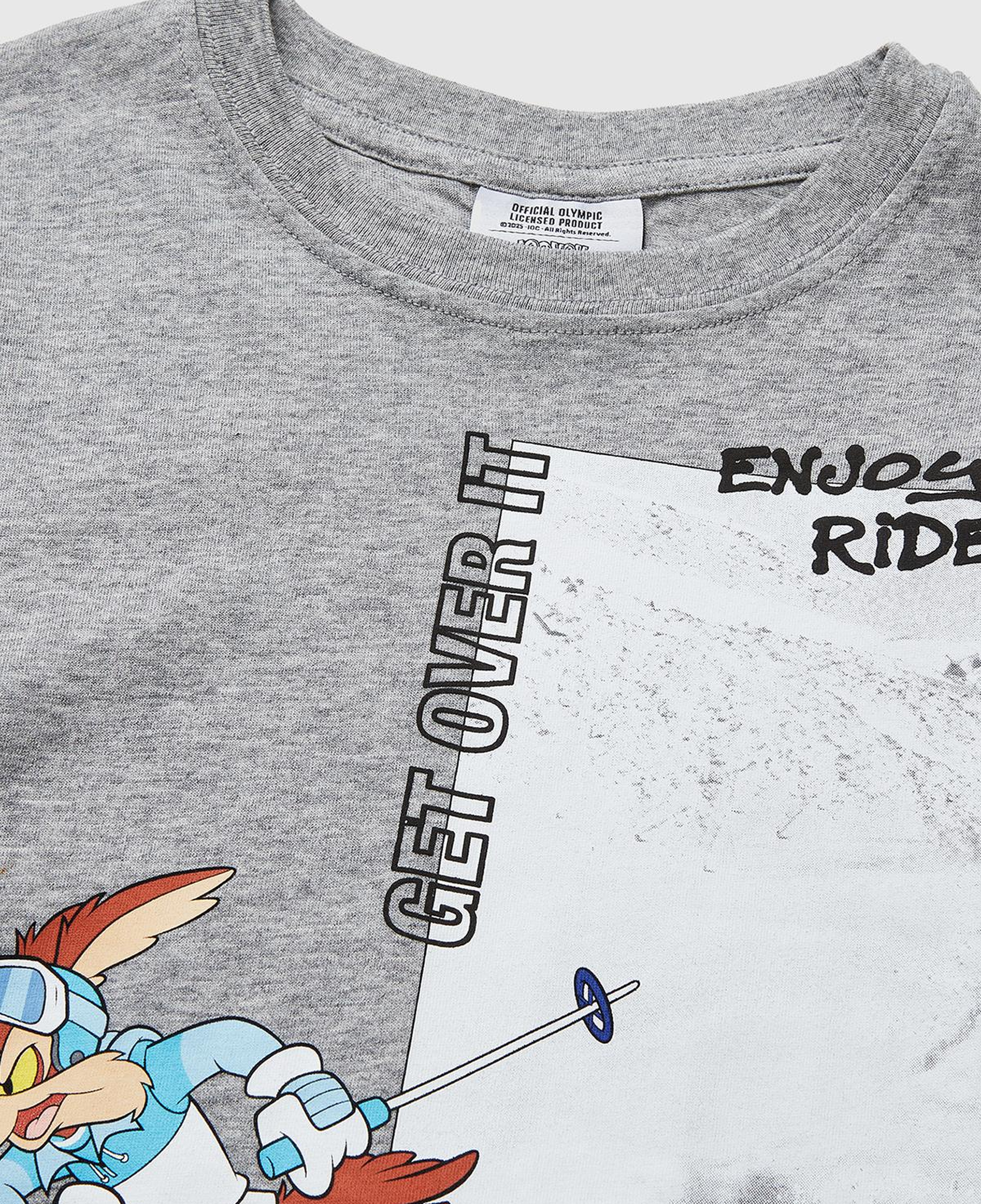 Erkek Çocuk Gri melanj Baskılı Bisiklet Yaka Uzun Kollu T-Shirt