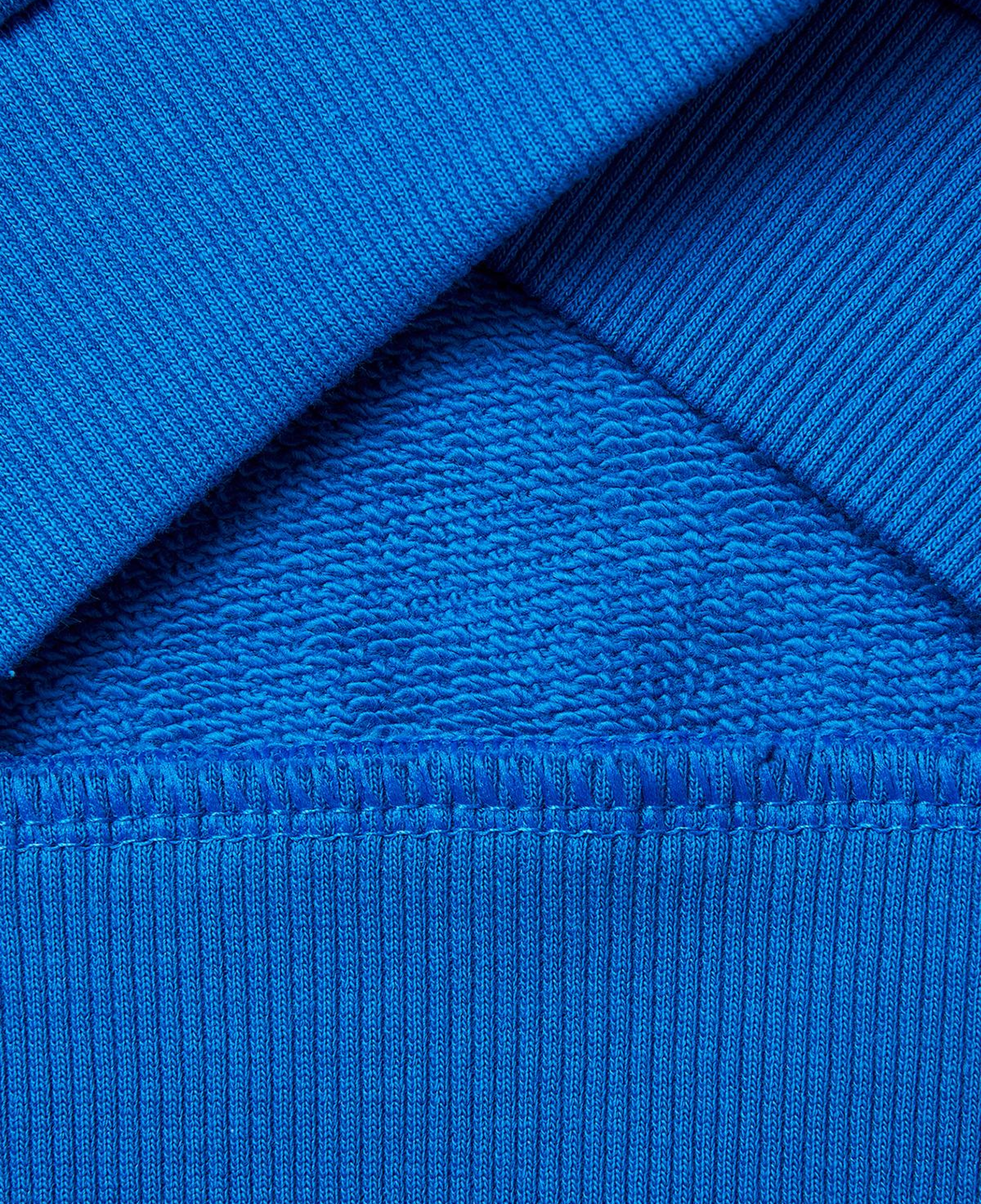 Erkek Çocuk Mavi Baskı ve Yazı Detaylı Bisiklet Yaka Sweatshirt