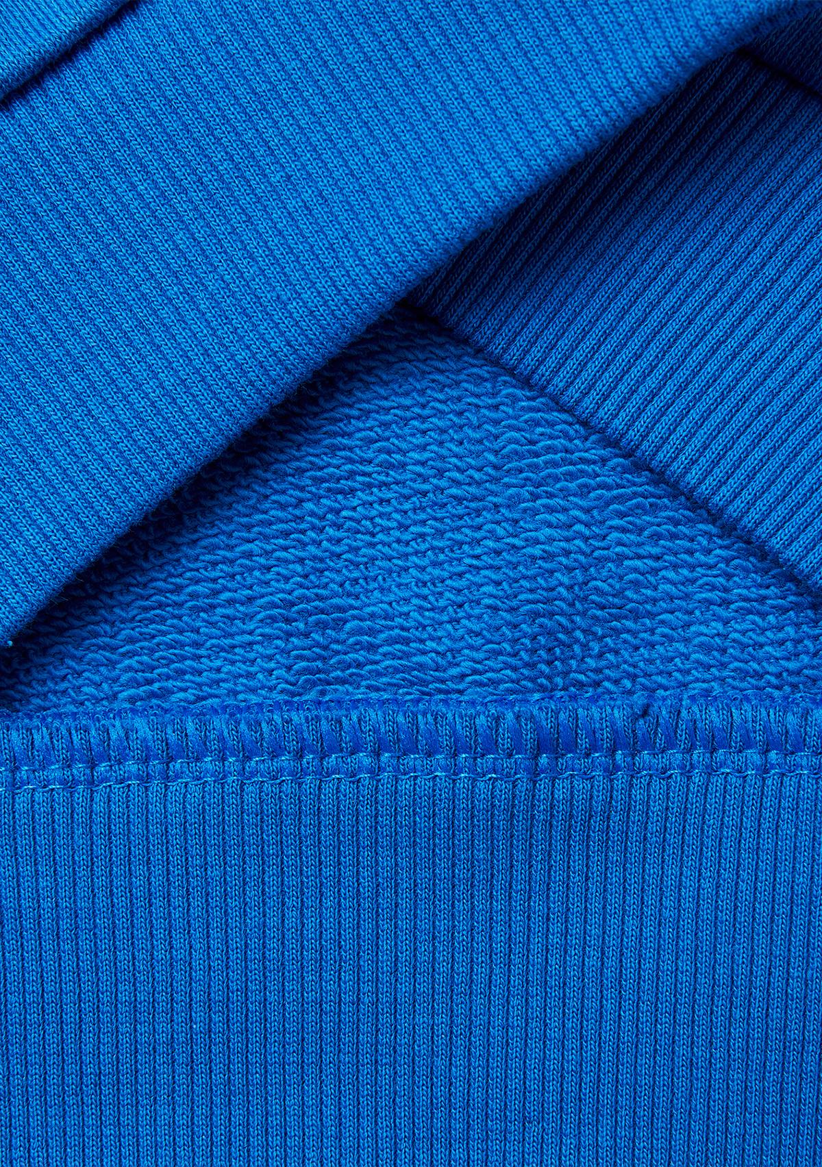 Erkek Çocuk Mavi Baskı ve Yazı Detaylı Bisiklet Yaka Sweatshirt