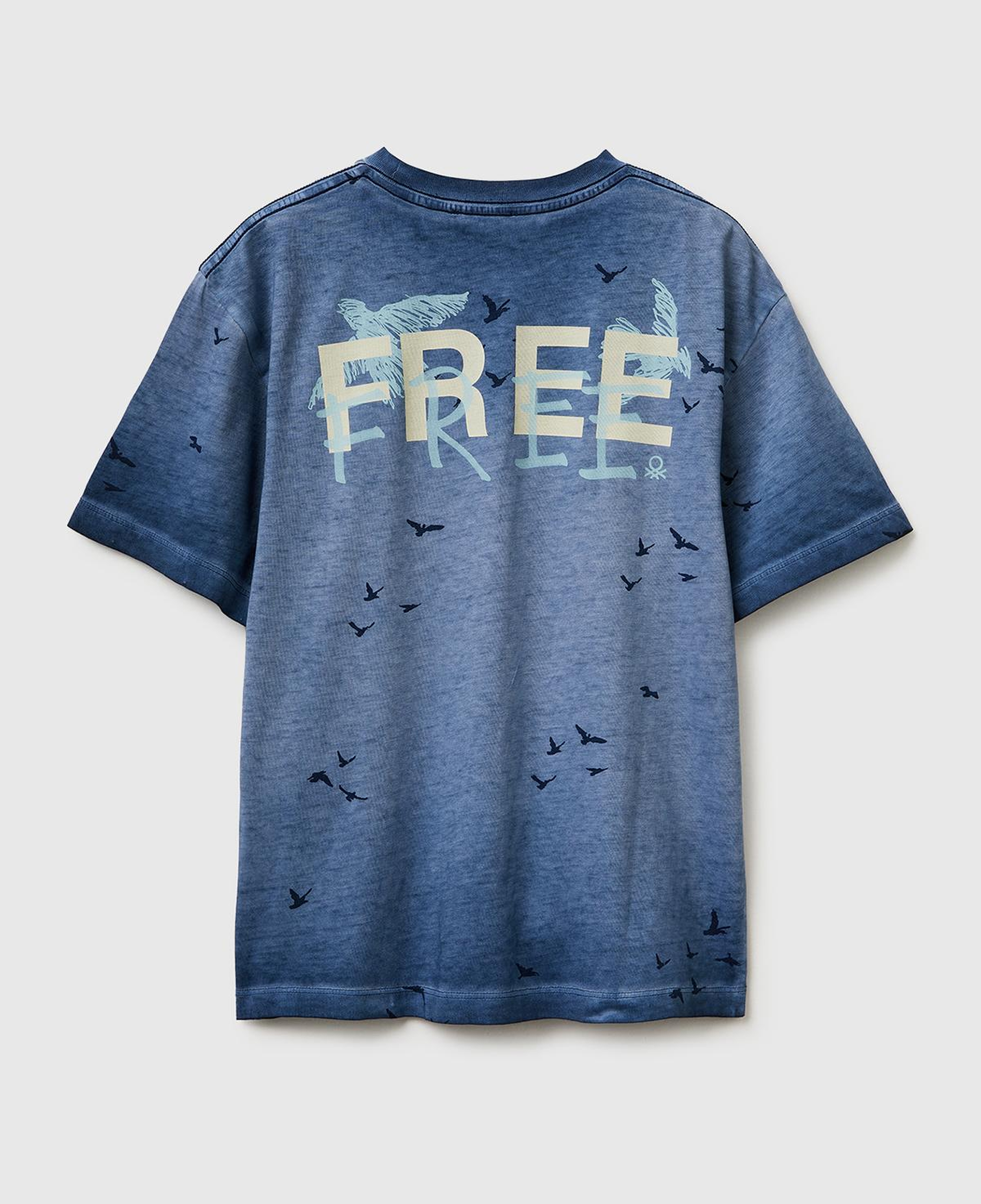 Erkek Çocuk Mavi Çoklu Baskılı Yuvarlak Yaka T-Shirt