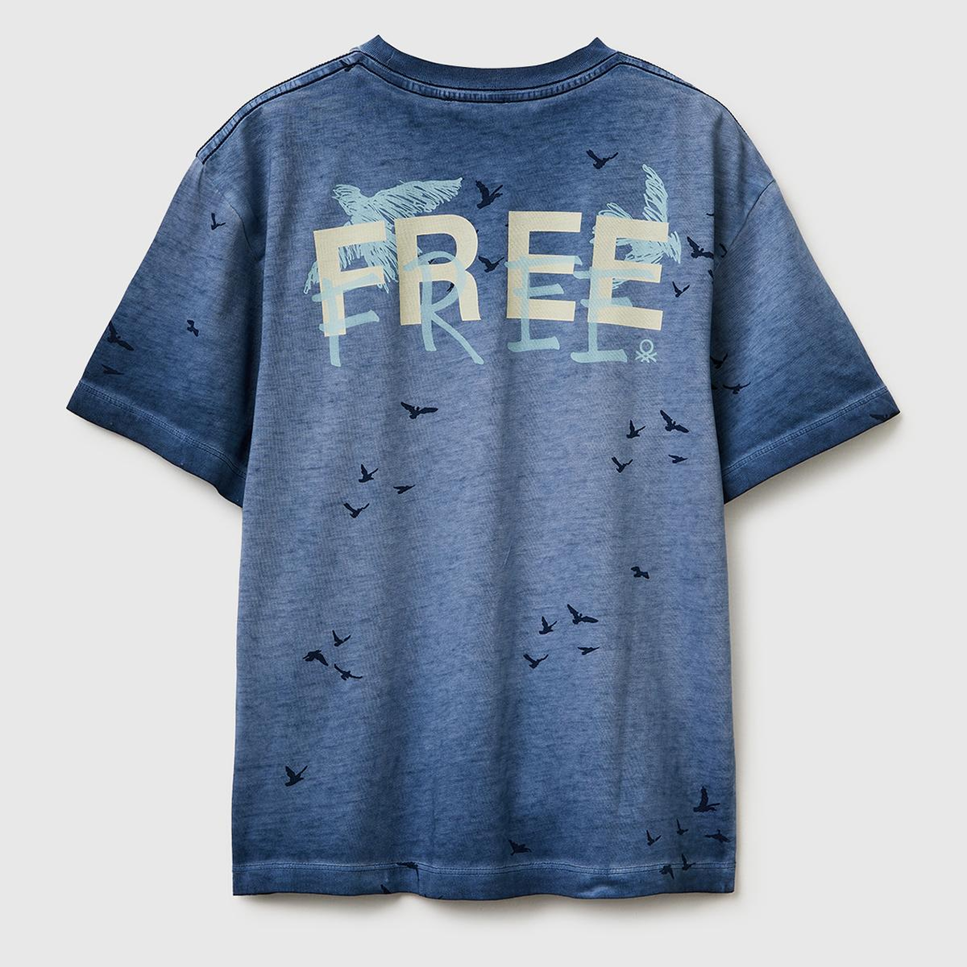 Erkek Çocuk Mavi Çoklu Baskılı Yuvarlak Yaka T-Shirt
