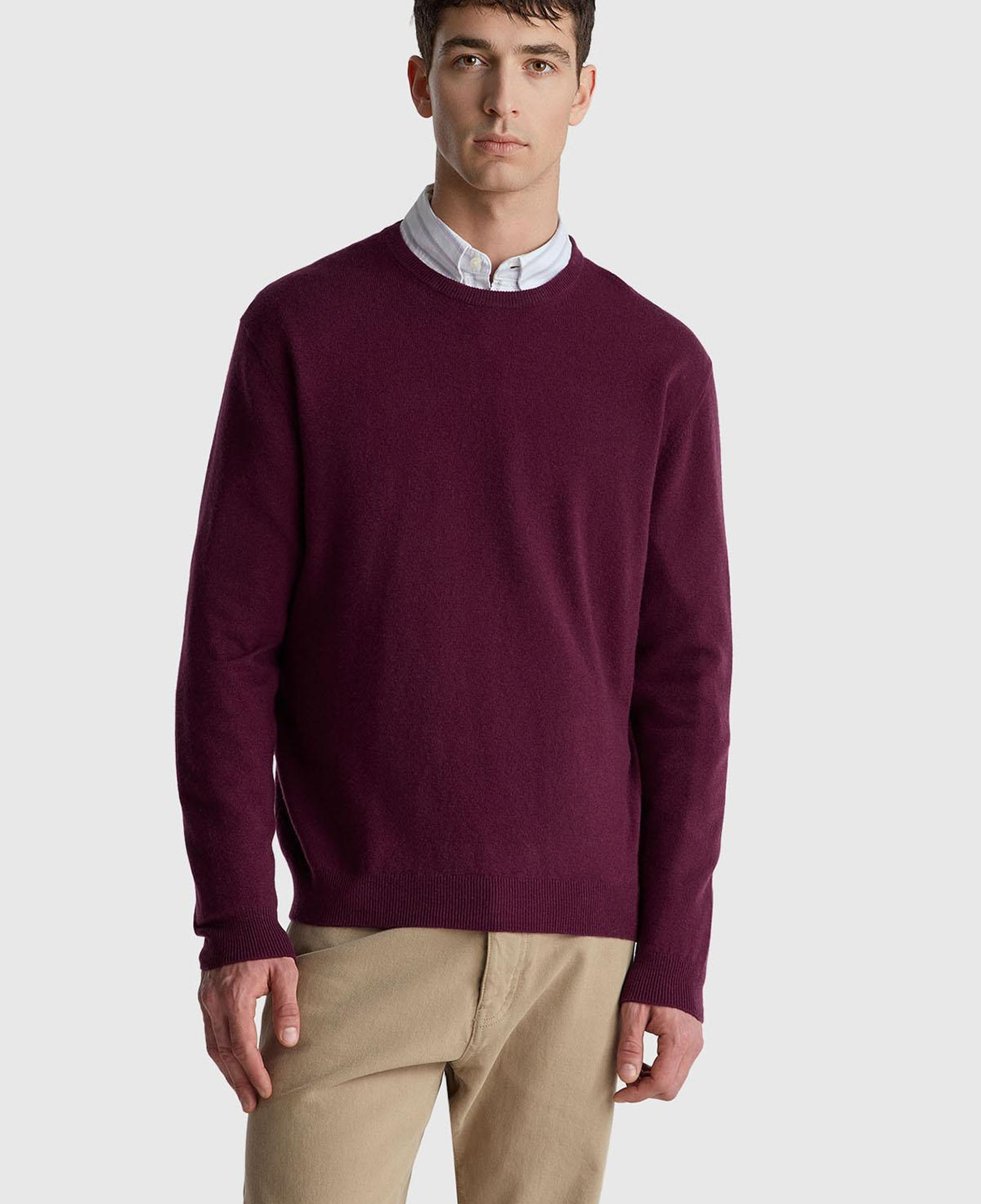 Erkek Mürdüm %100 Merino Bisiklet Yaka Kazak