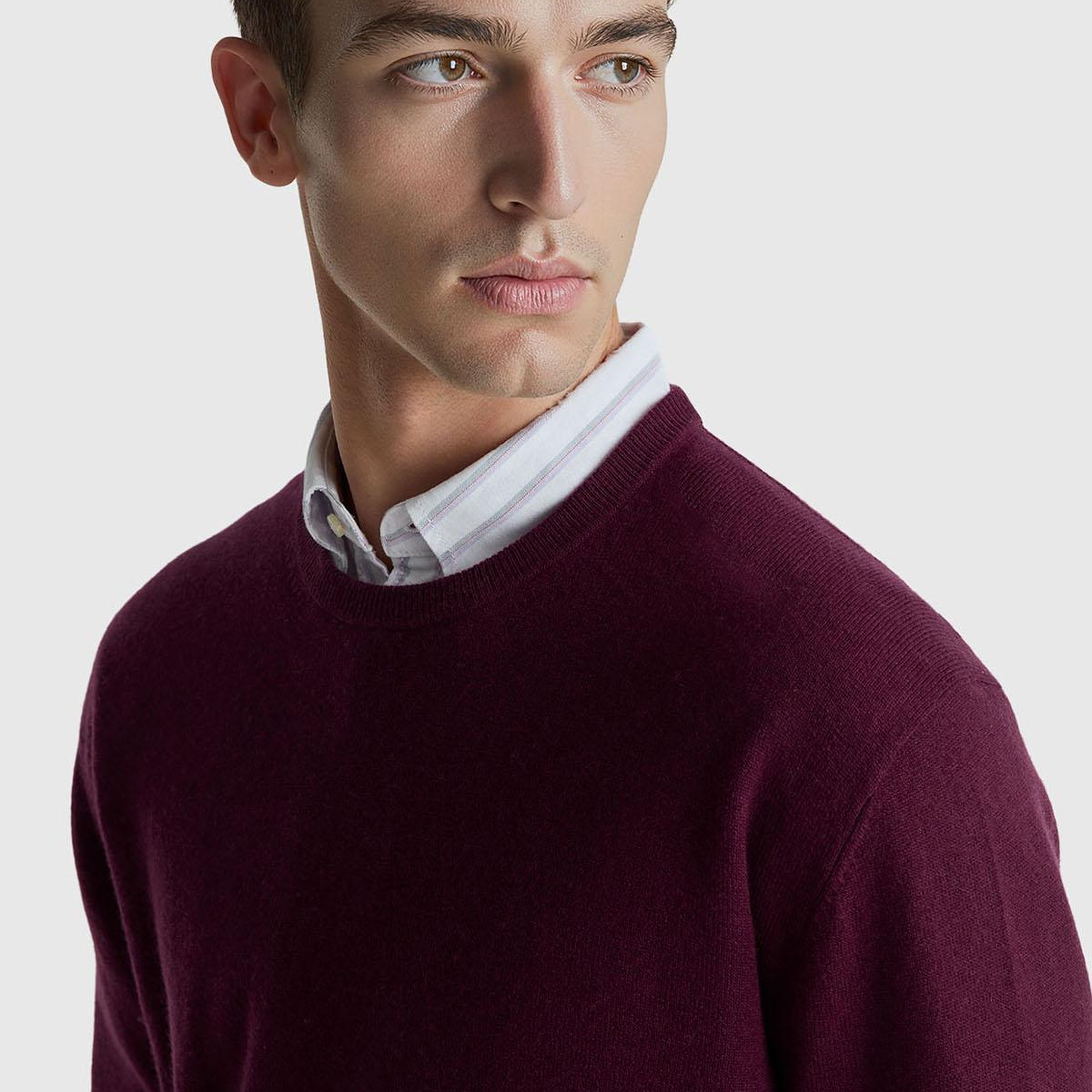 Erkek Mürdüm %100 Merino Bisiklet Yaka Kazak