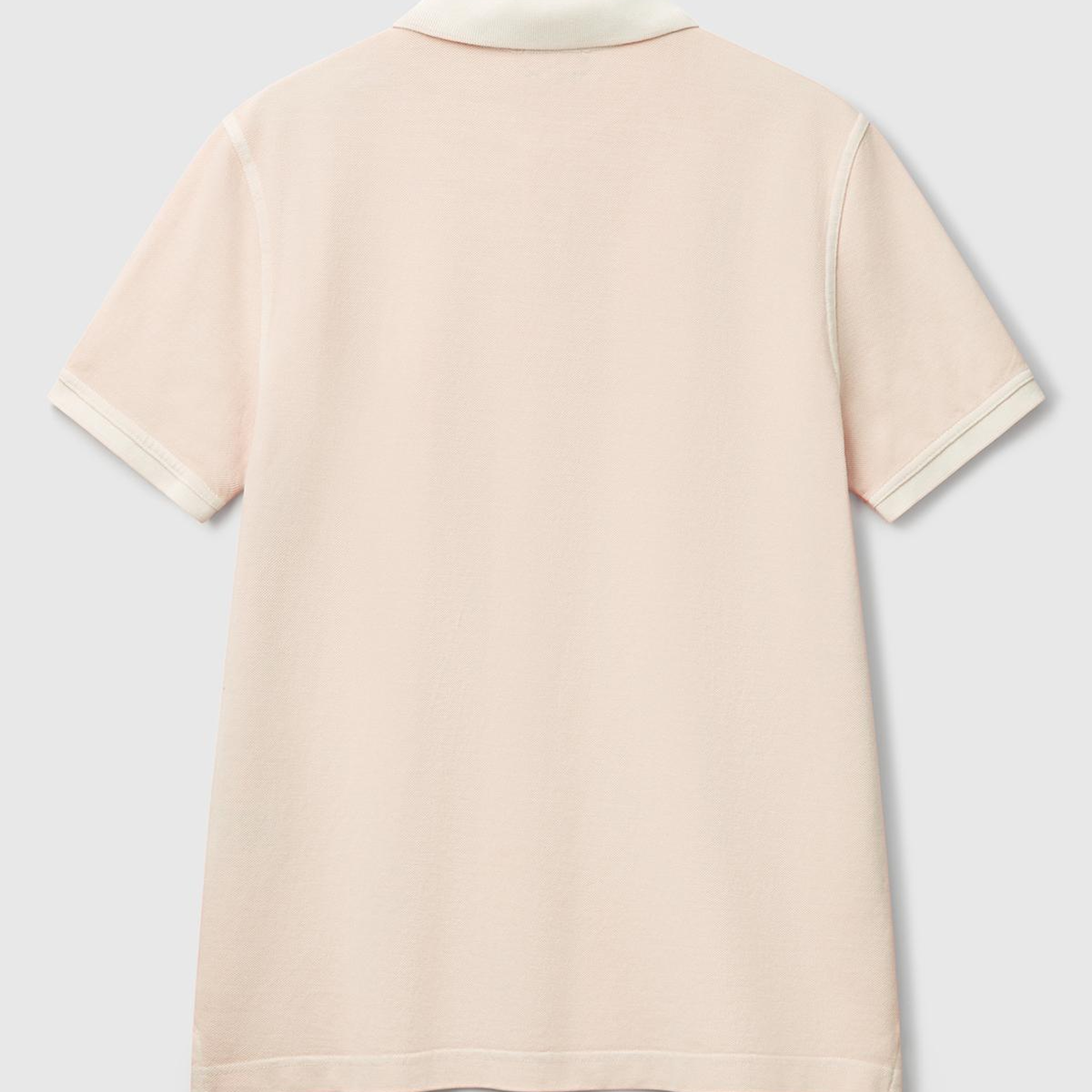 Erkek Pembe %100 Organik Koton Regular Fit Polo T-Shirt