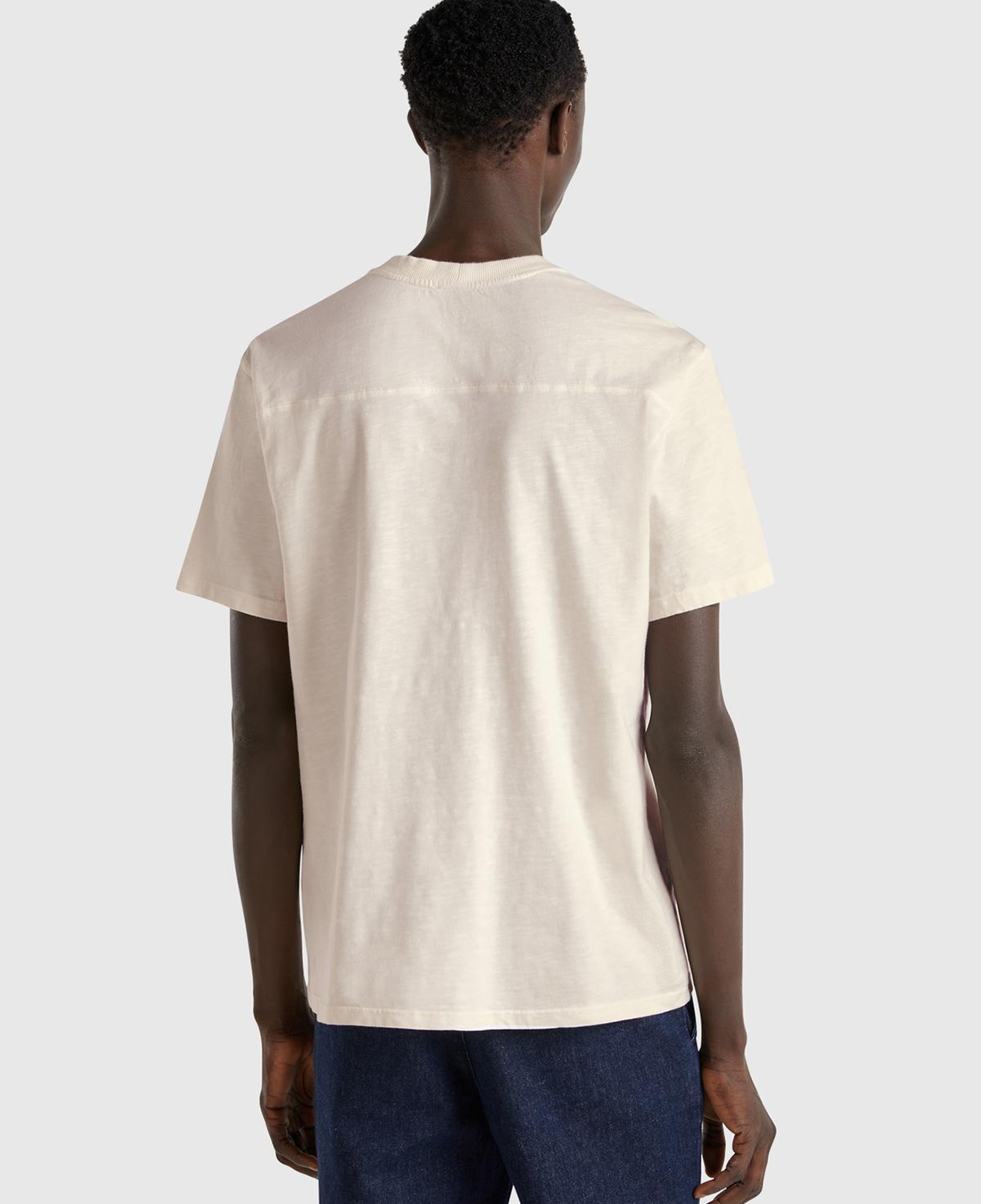 Erkek Bej-Yeşil %100 Pamuk Yıpranmış Efektli Önü Baskılı Relax Fit T-Shirt