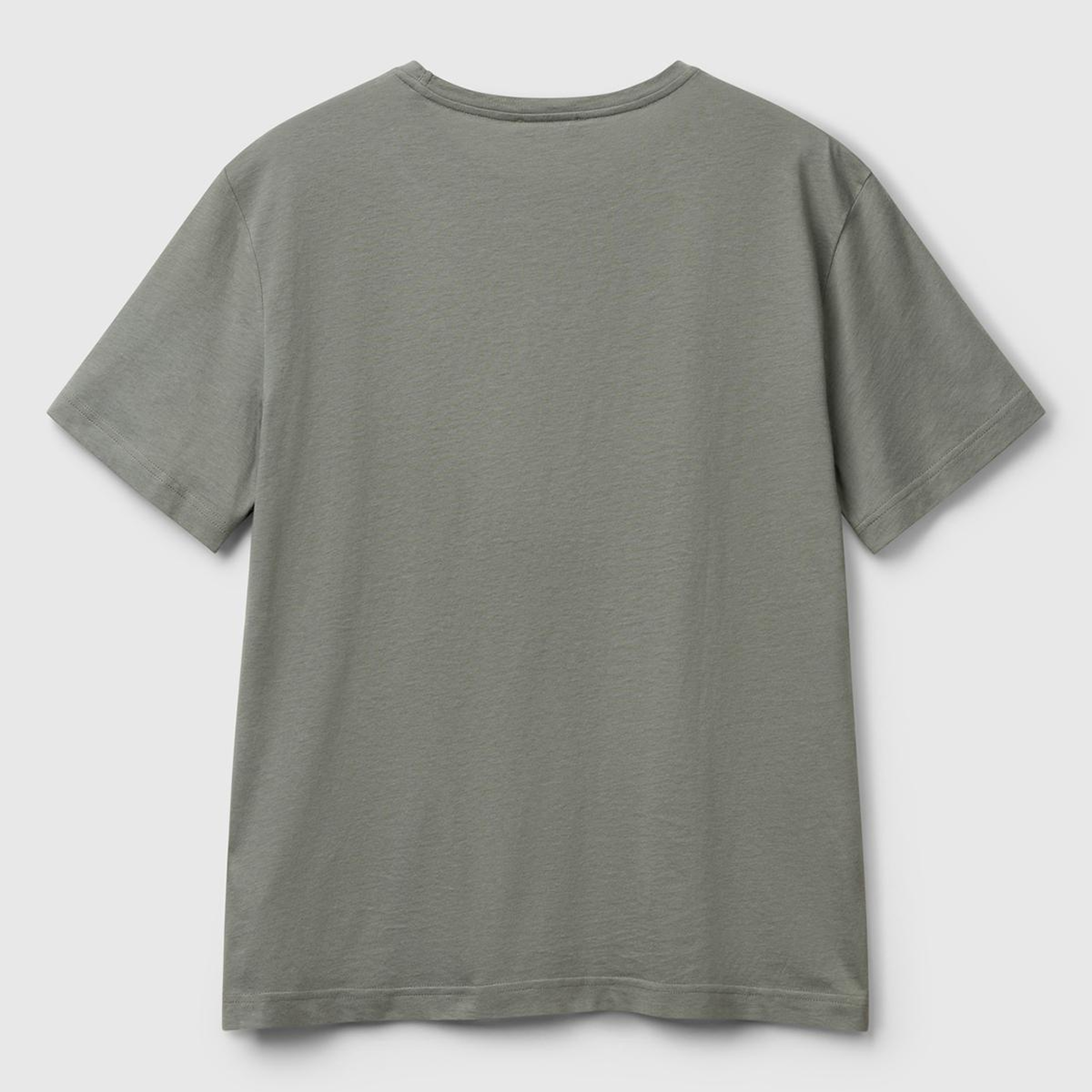 Erkek Soluk Yeşil %100 Koton Bisiklet Yaka T-Shirt