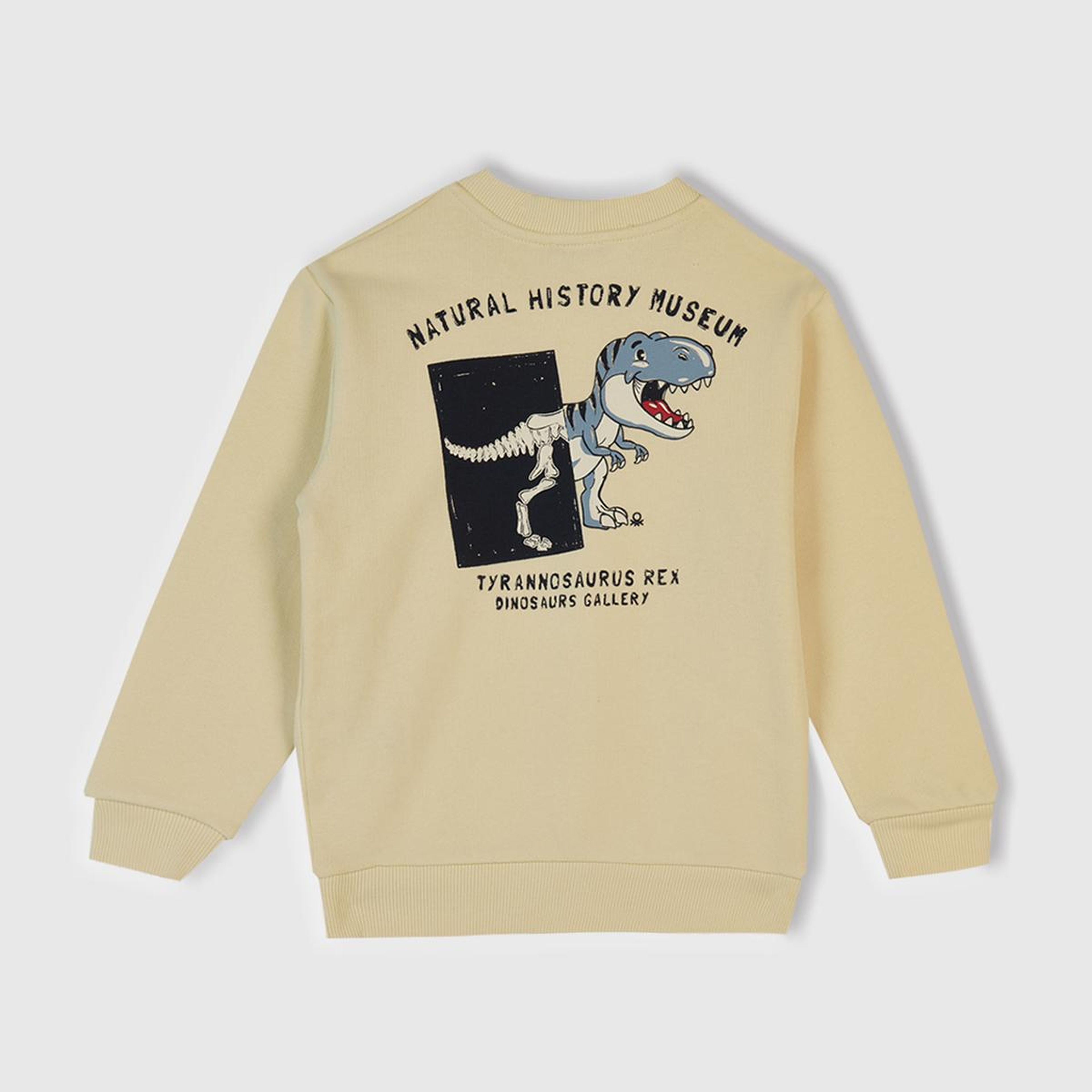 Erkek Çocuk Krem Çok Renkli Baskılı Relaxed Fit Sweatshirt