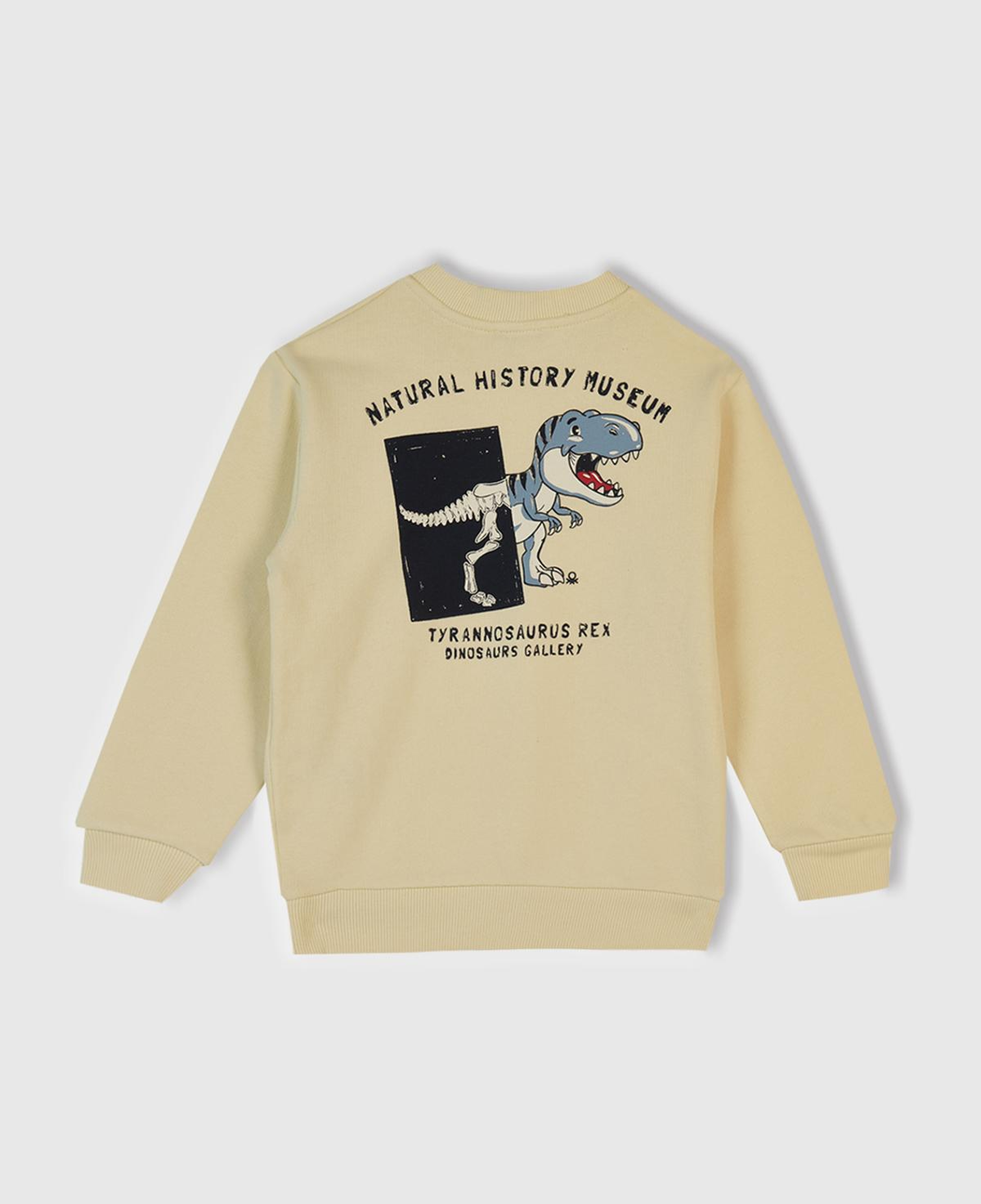 Erkek Çocuk Krem Çok Renkli Baskılı Relaxed Fit Sweatshirt