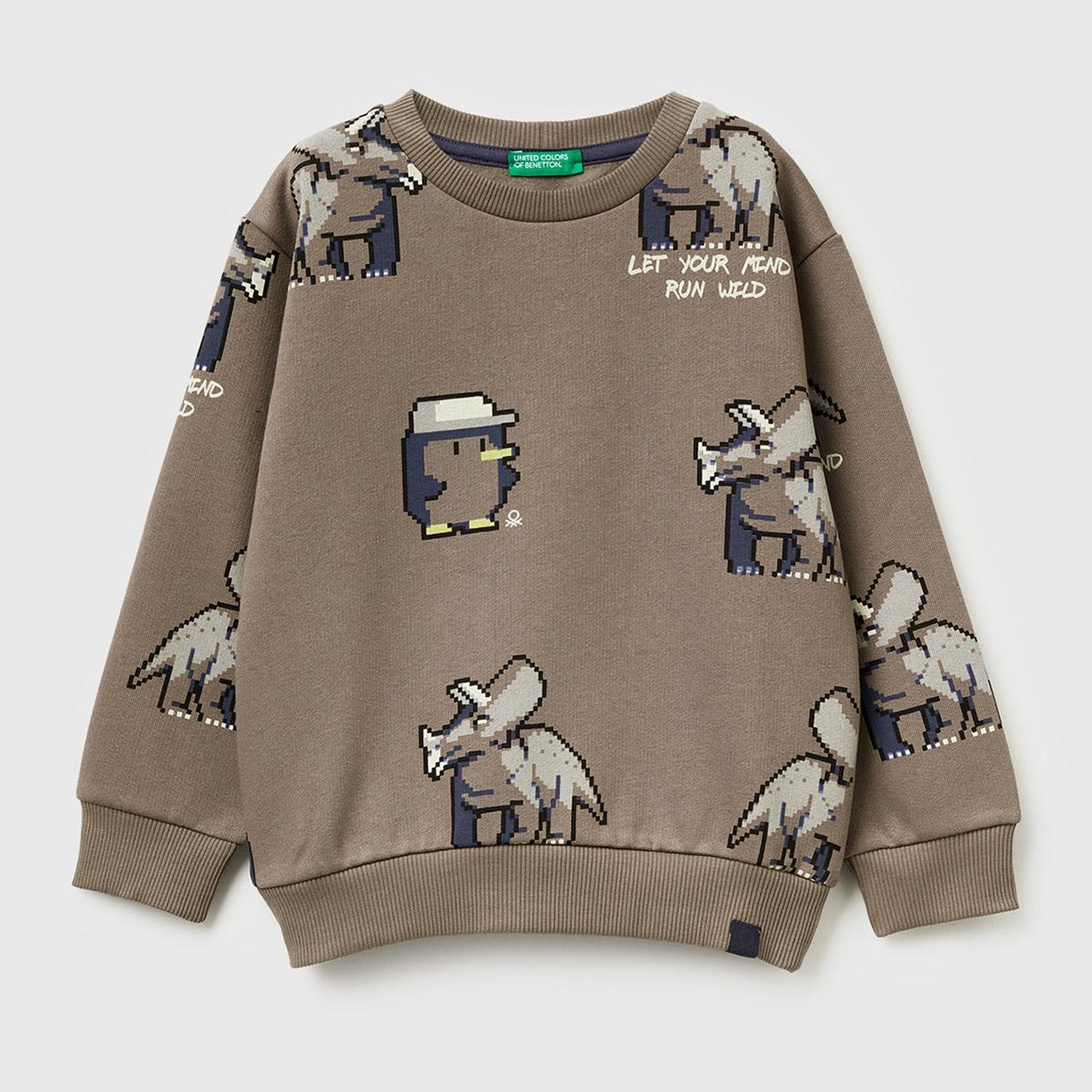 Erkek Çocuk Kahverengi Baskılı Ribanalı Bisiklet Yaka Regular Fit Şardonlu Sweatshirt