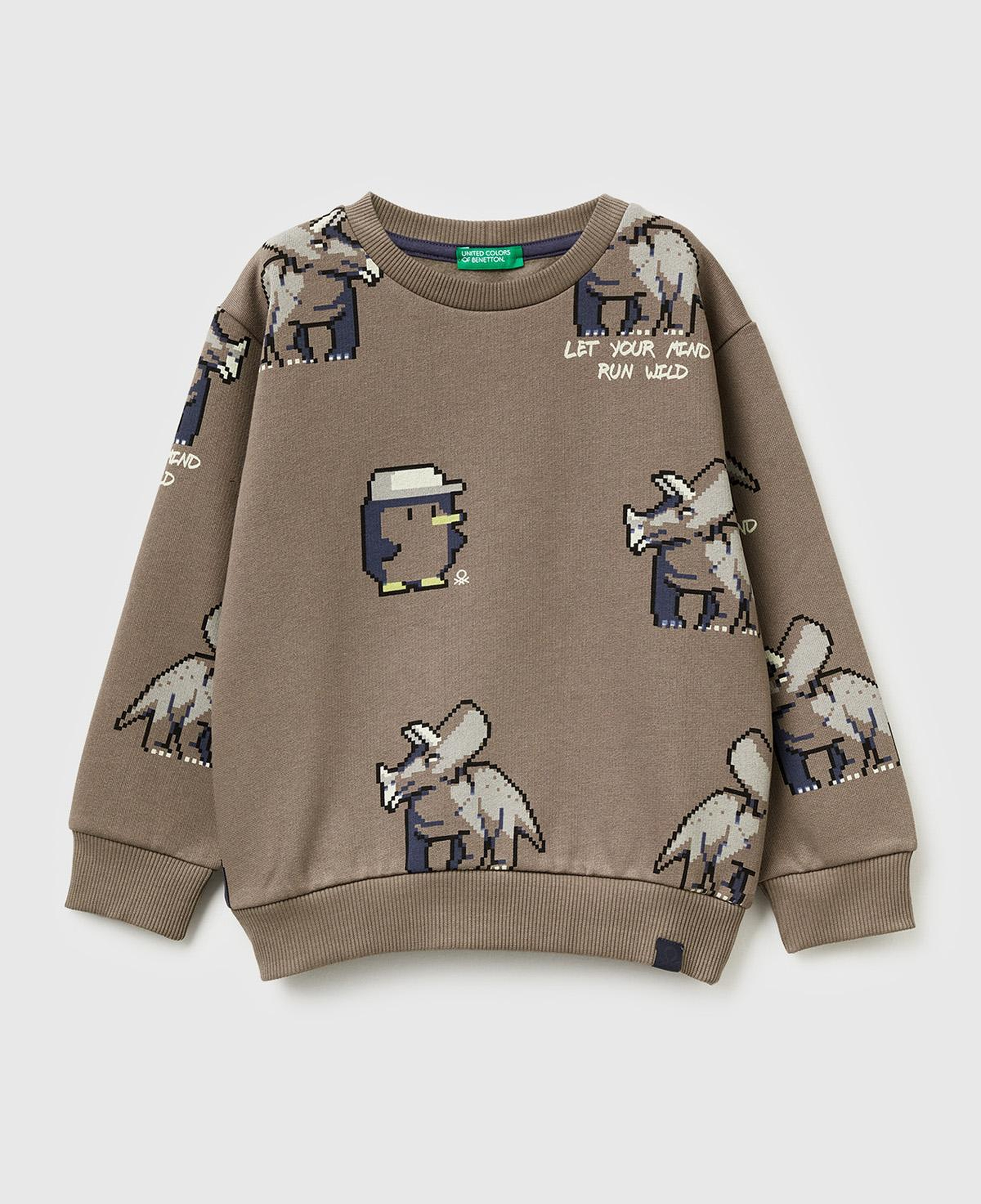 Erkek Çocuk Kahverengi Baskılı Ribanalı Bisiklet Yaka Regular Fit Şardonlu Sweatshirt