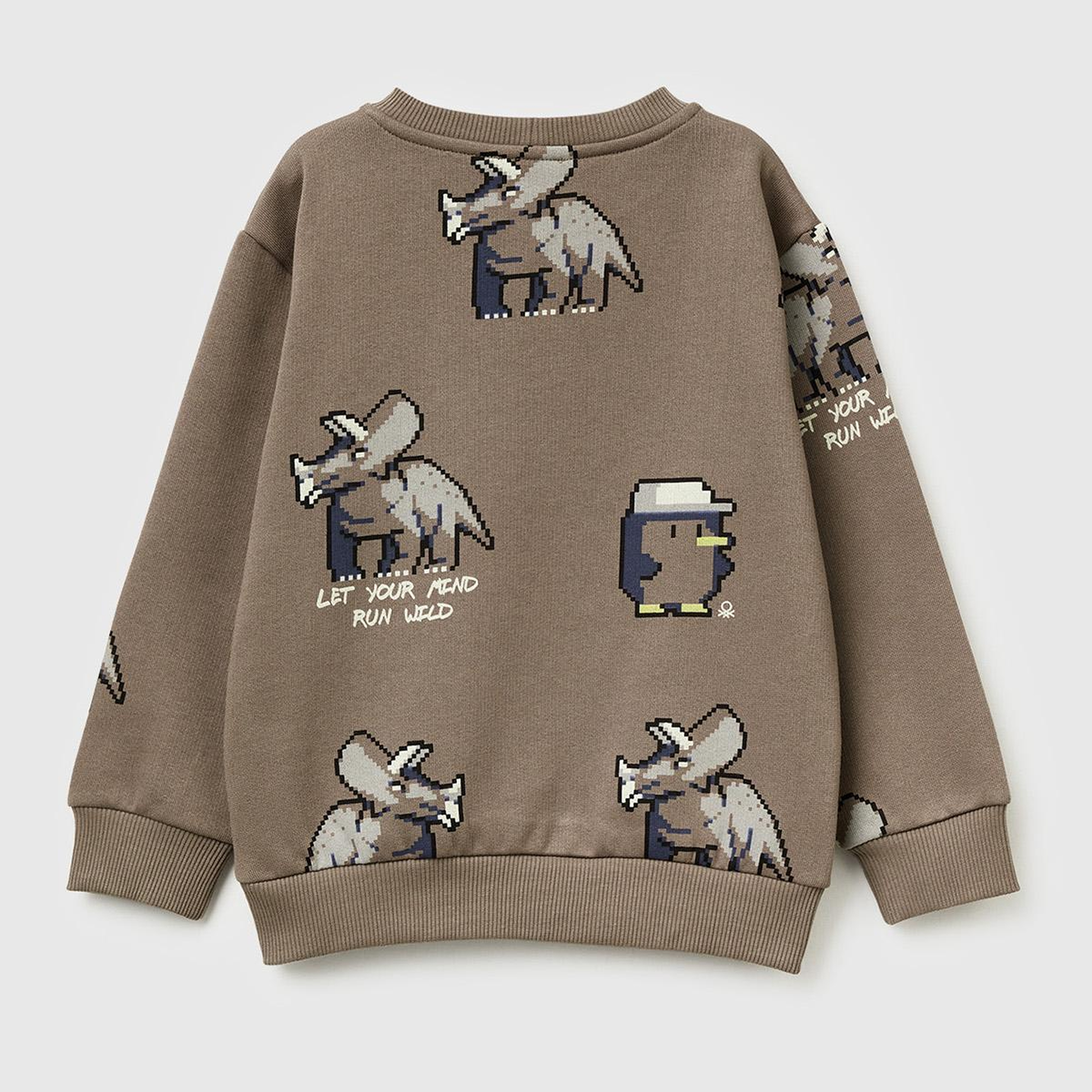Erkek Çocuk Kahverengi Baskılı Ribanalı Bisiklet Yaka Regular Fit Şardonlu Sweatshirt