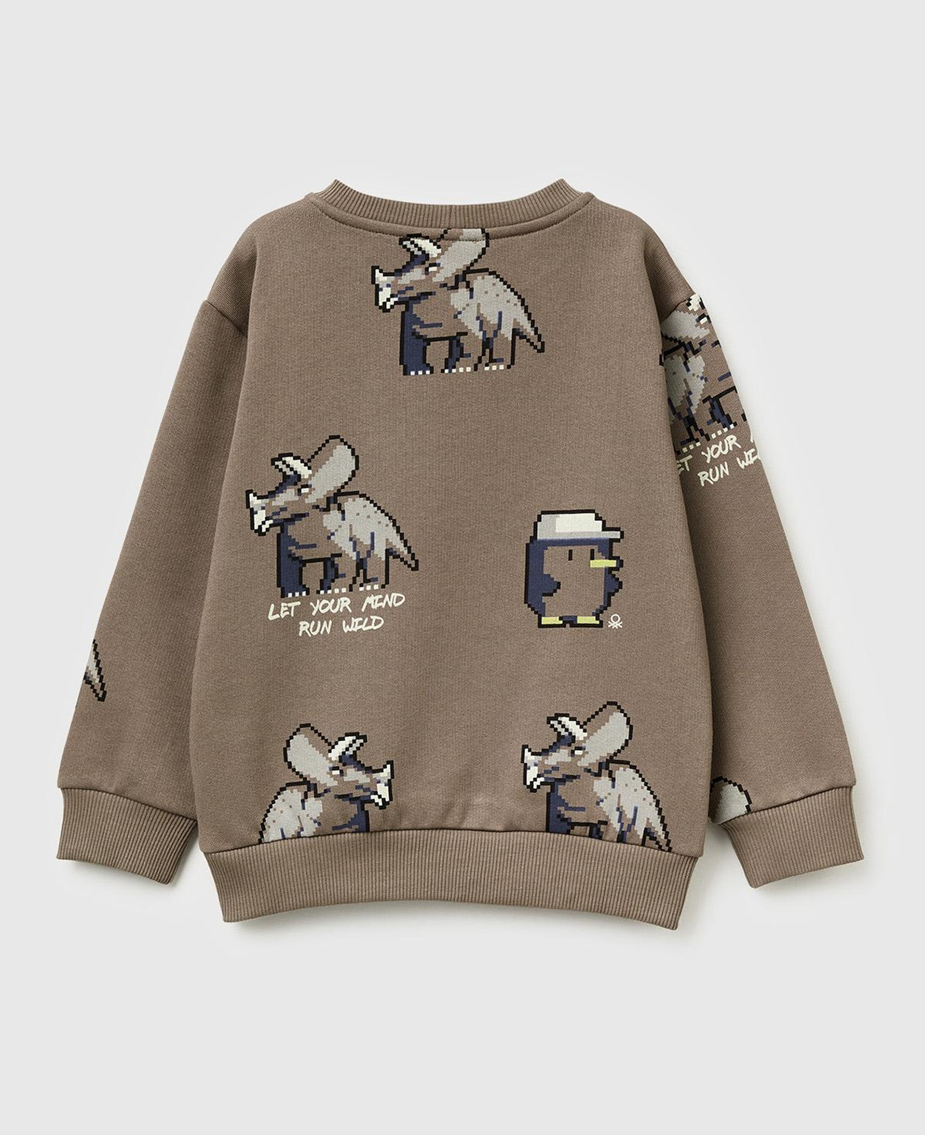 Erkek Çocuk Kahverengi Baskılı Ribanalı Bisiklet Yaka Regular Fit Şardonlu Sweatshirt