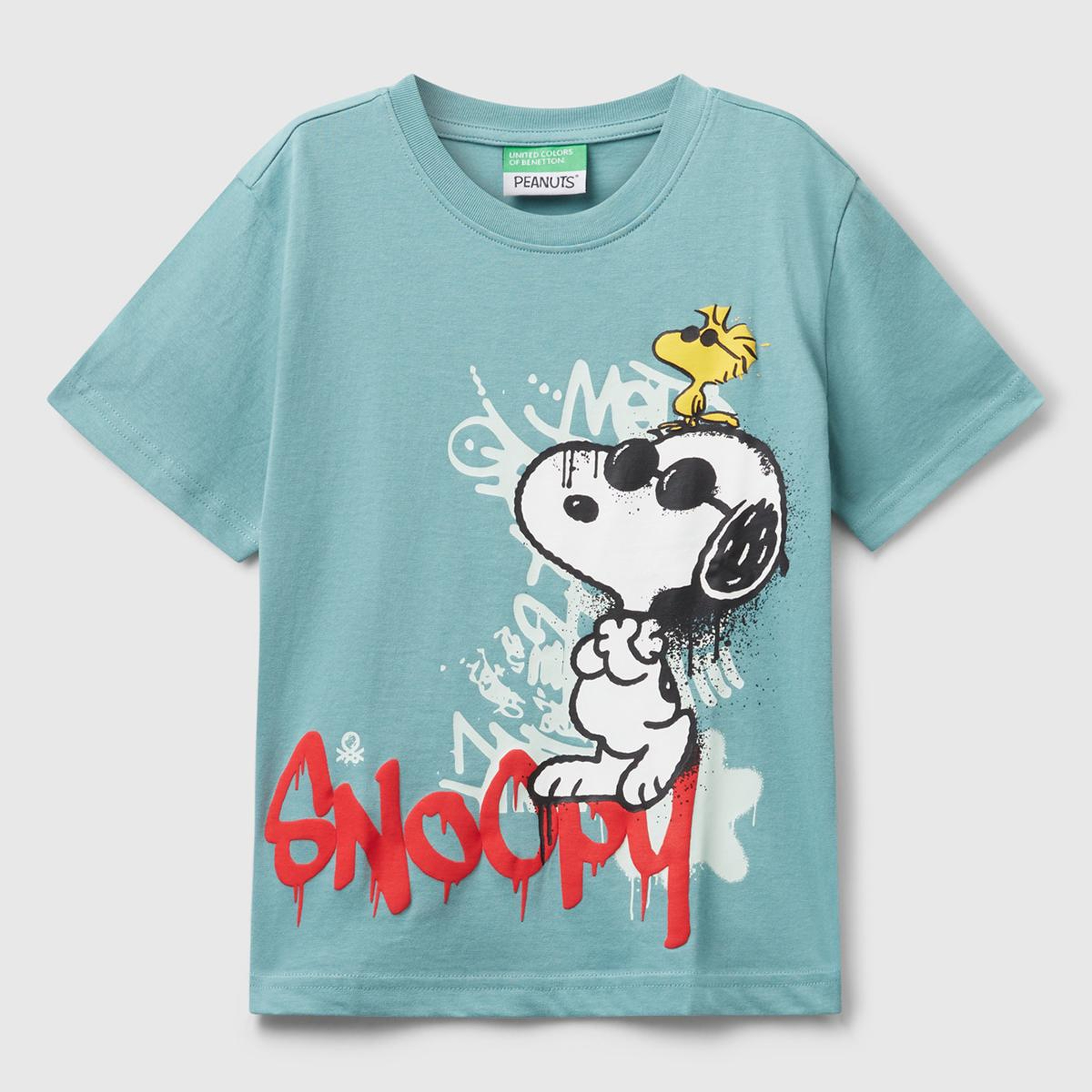 Erkek Çocuk Gri-Yeşil Önü Renkli Peanuts Baskılı T-shirt