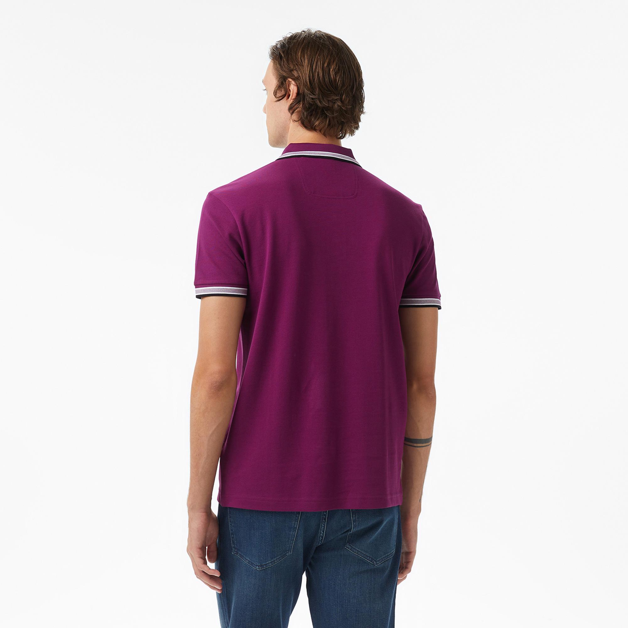 Boss Paddy Erkek Mor Polo