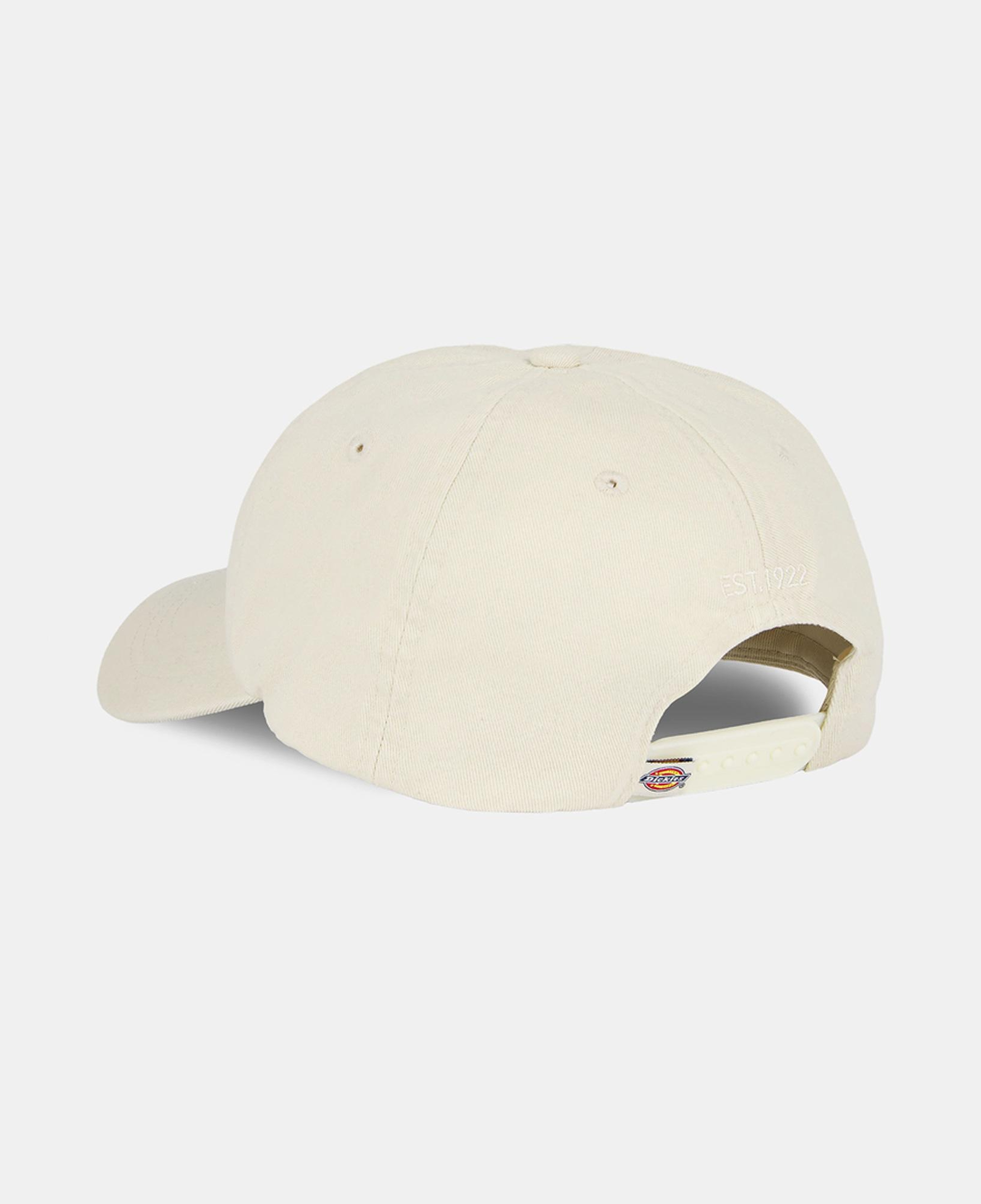 Dickies Hardwick Erkek Bej Şapka
