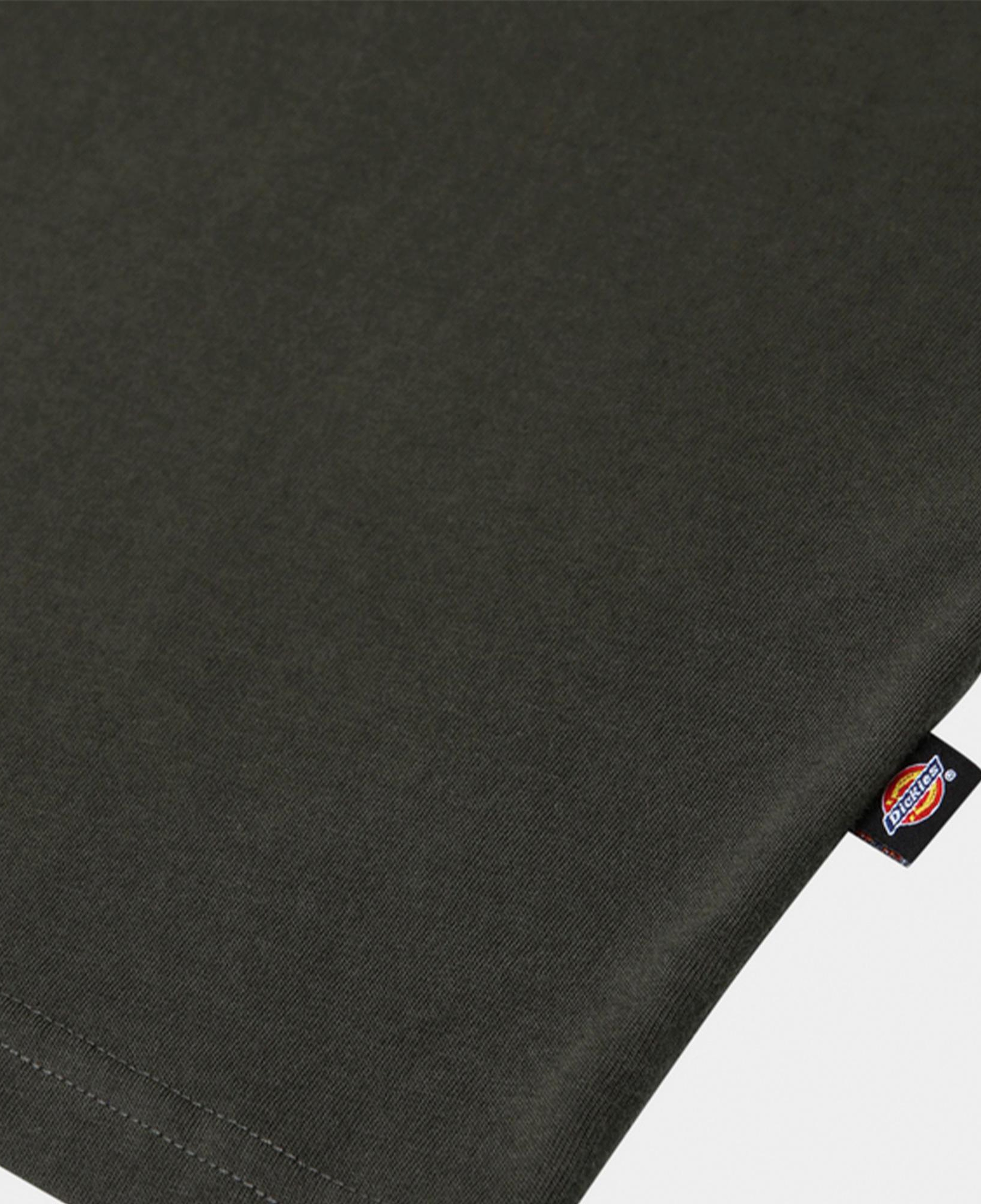 Dickies Mapleton Erkek Siyah T-Shirt