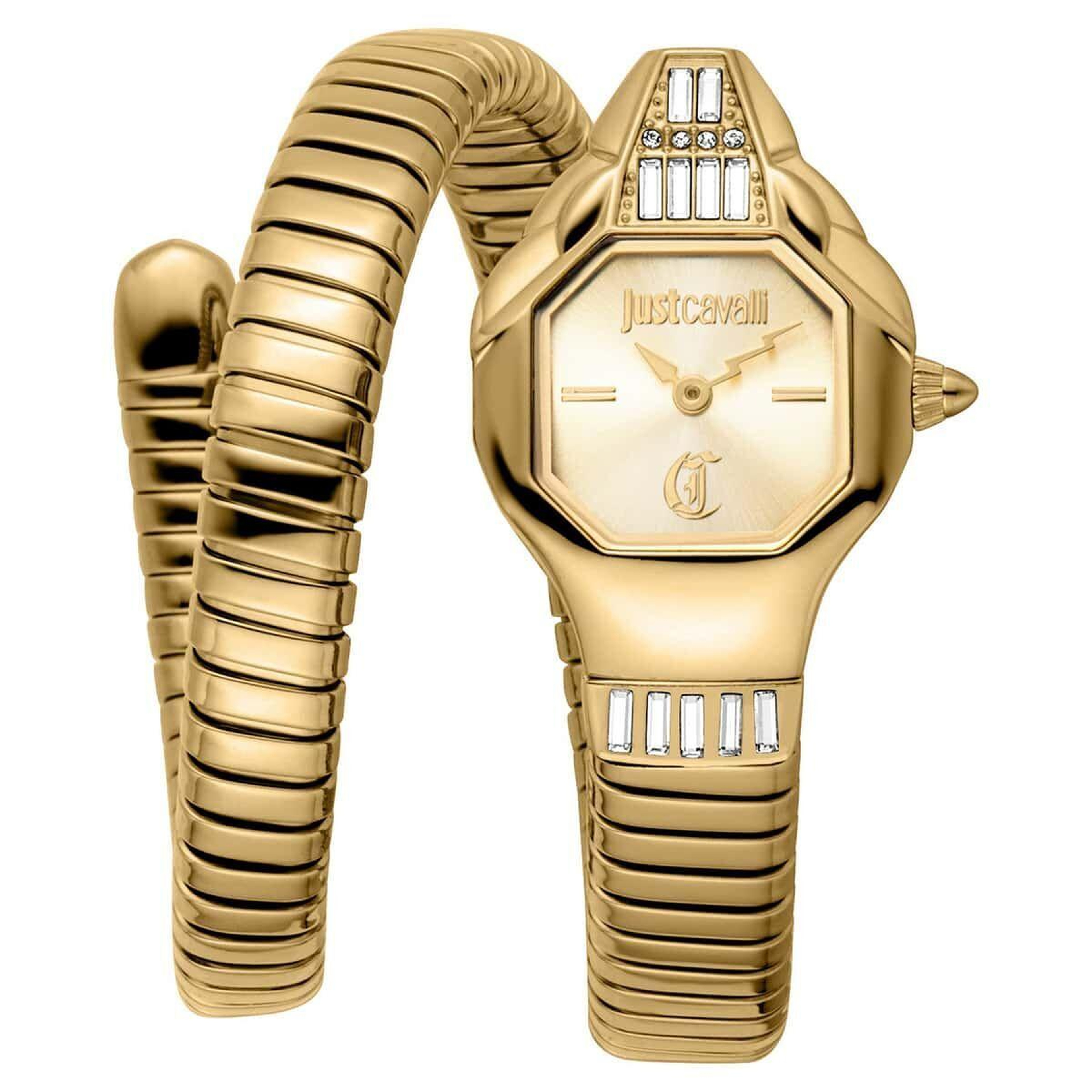 Just Cavalli JC1L326M0025 Kadın Kol Saati