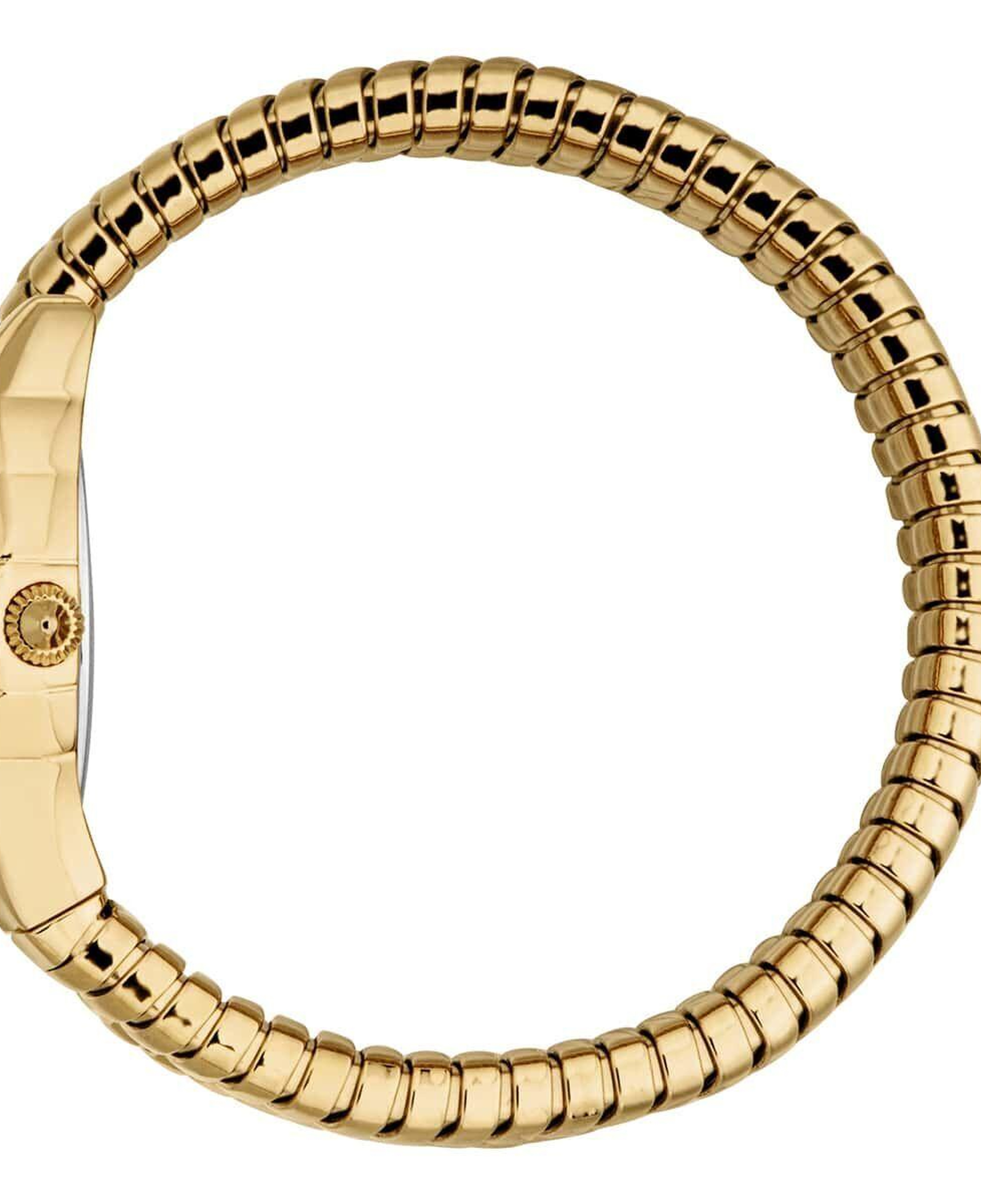 Just Cavalli JC1L393M0025 Kadın Kol Saati