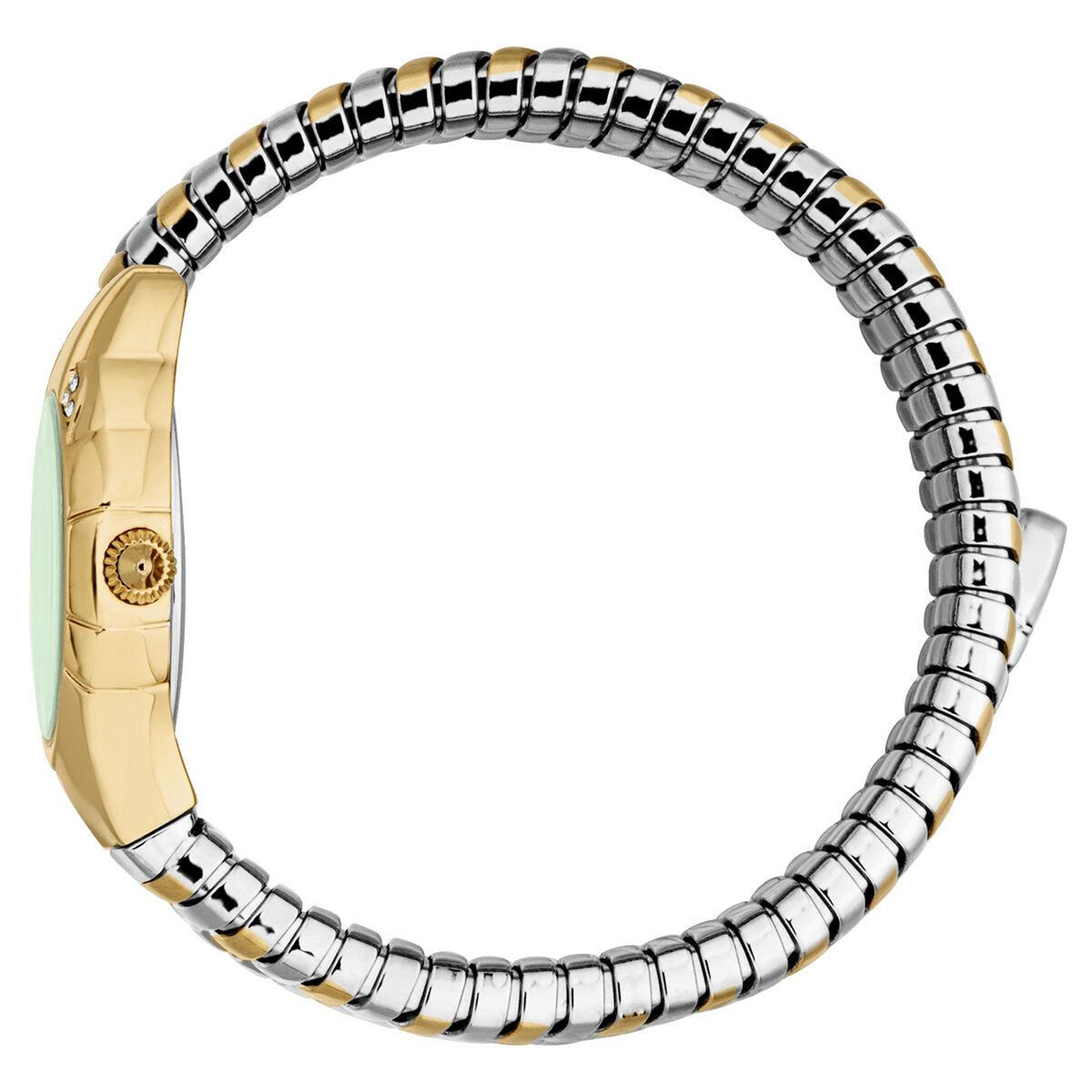 Just Cavalli JC1L393M0045 Kadın Kol Saati