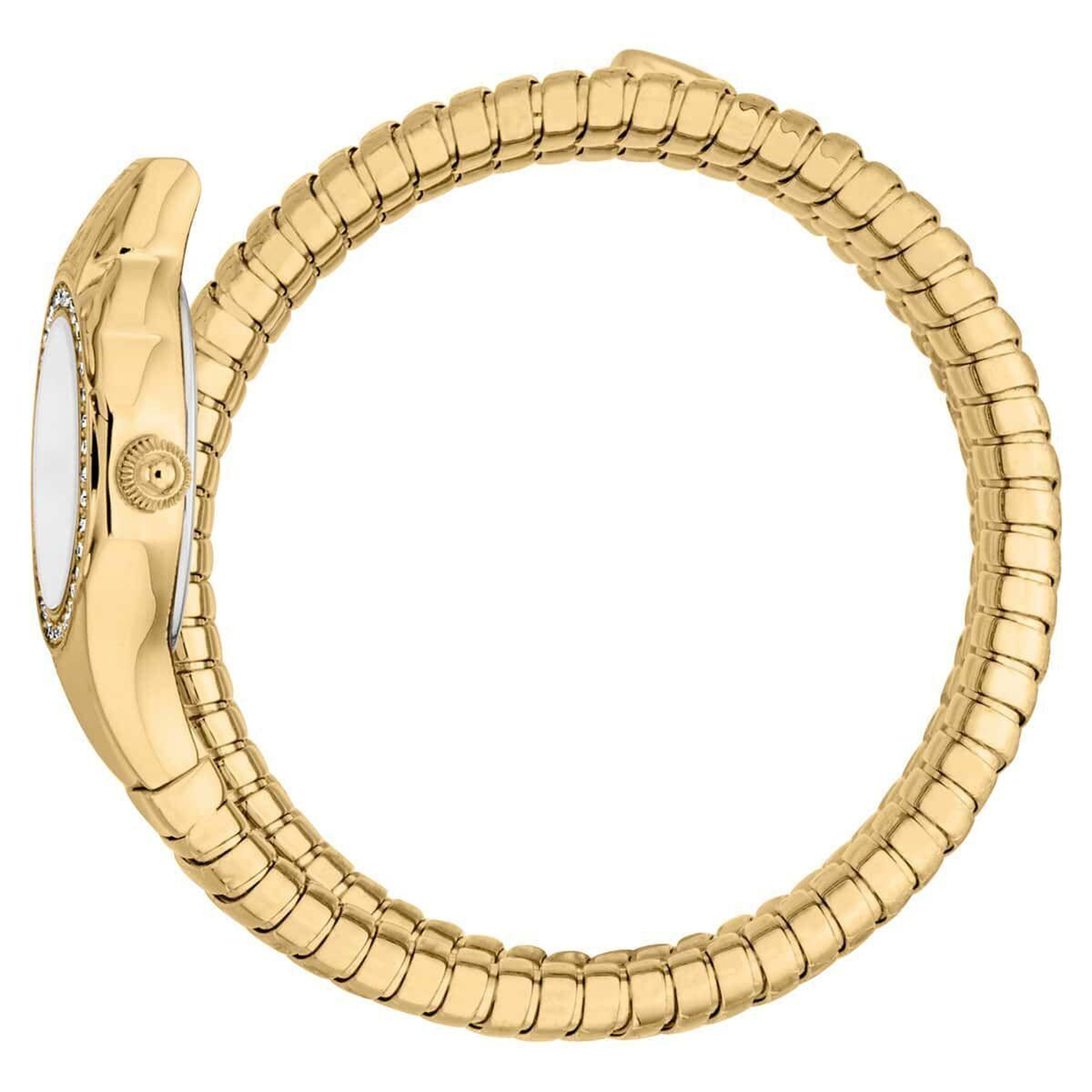 Just Cavalli JC1L355M0025 Kadın Kol Saati