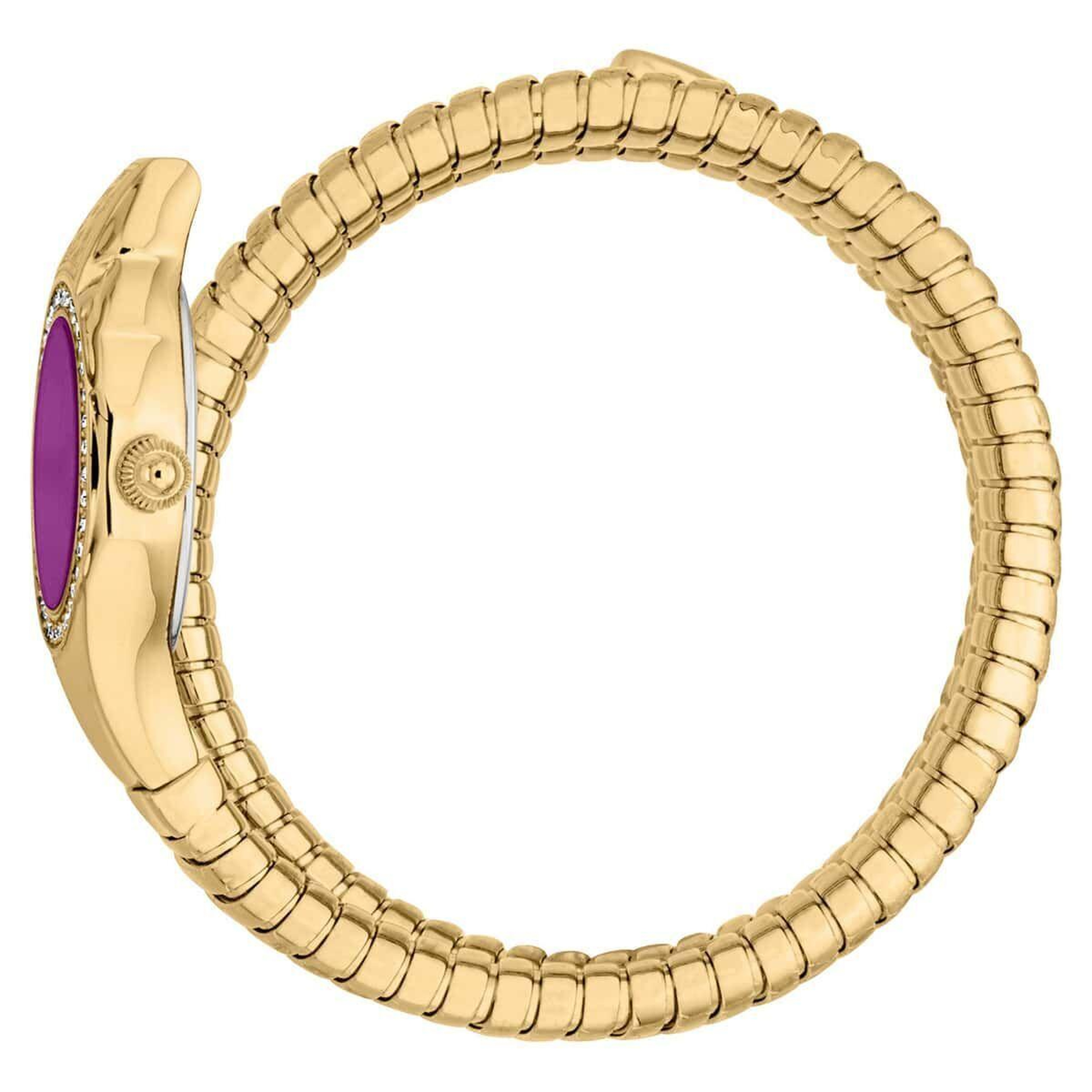 Just Cavalli JC1L355M0035 Kadın Kol Saati