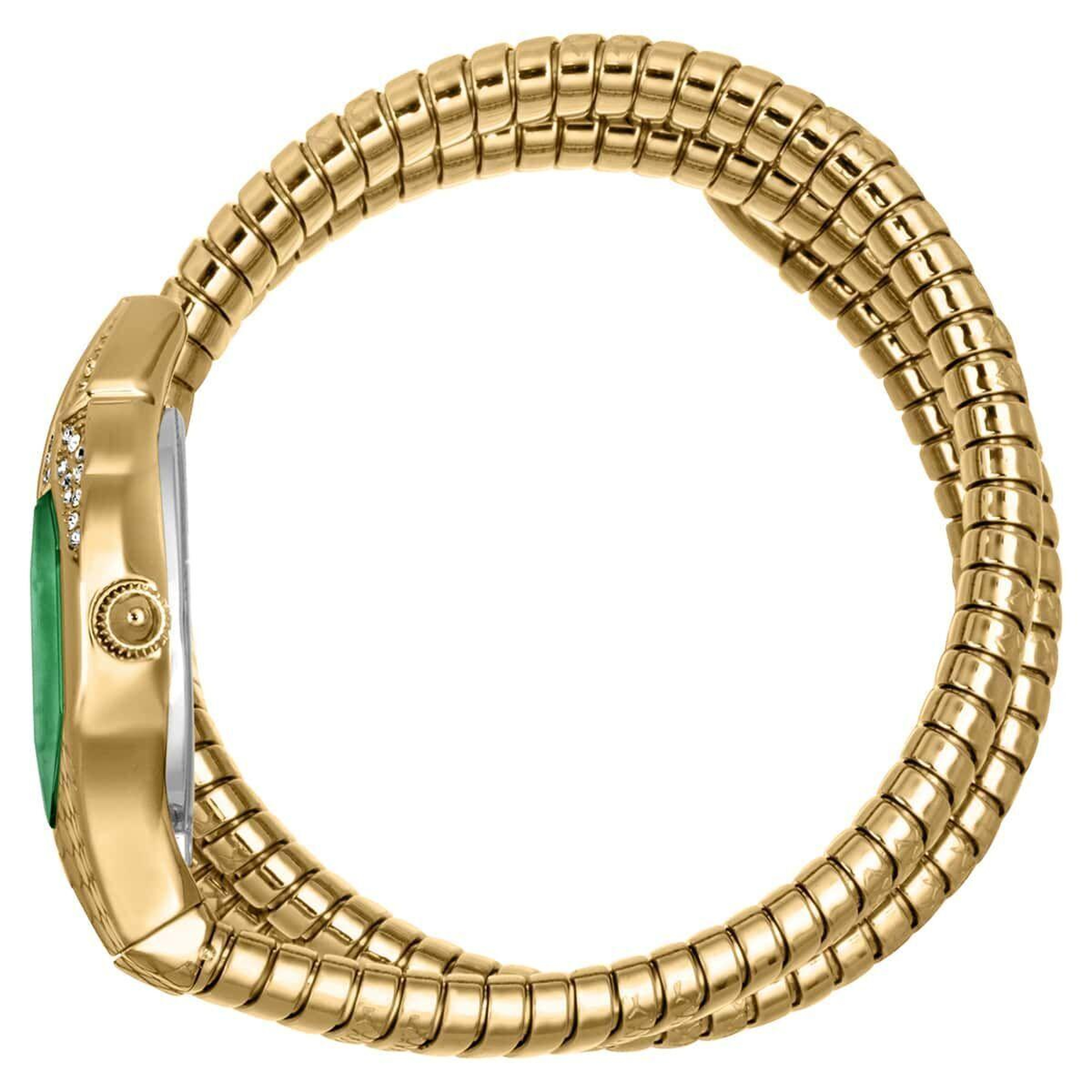 Just Cavalli JC1L193M0035 Kadın Kol Saati