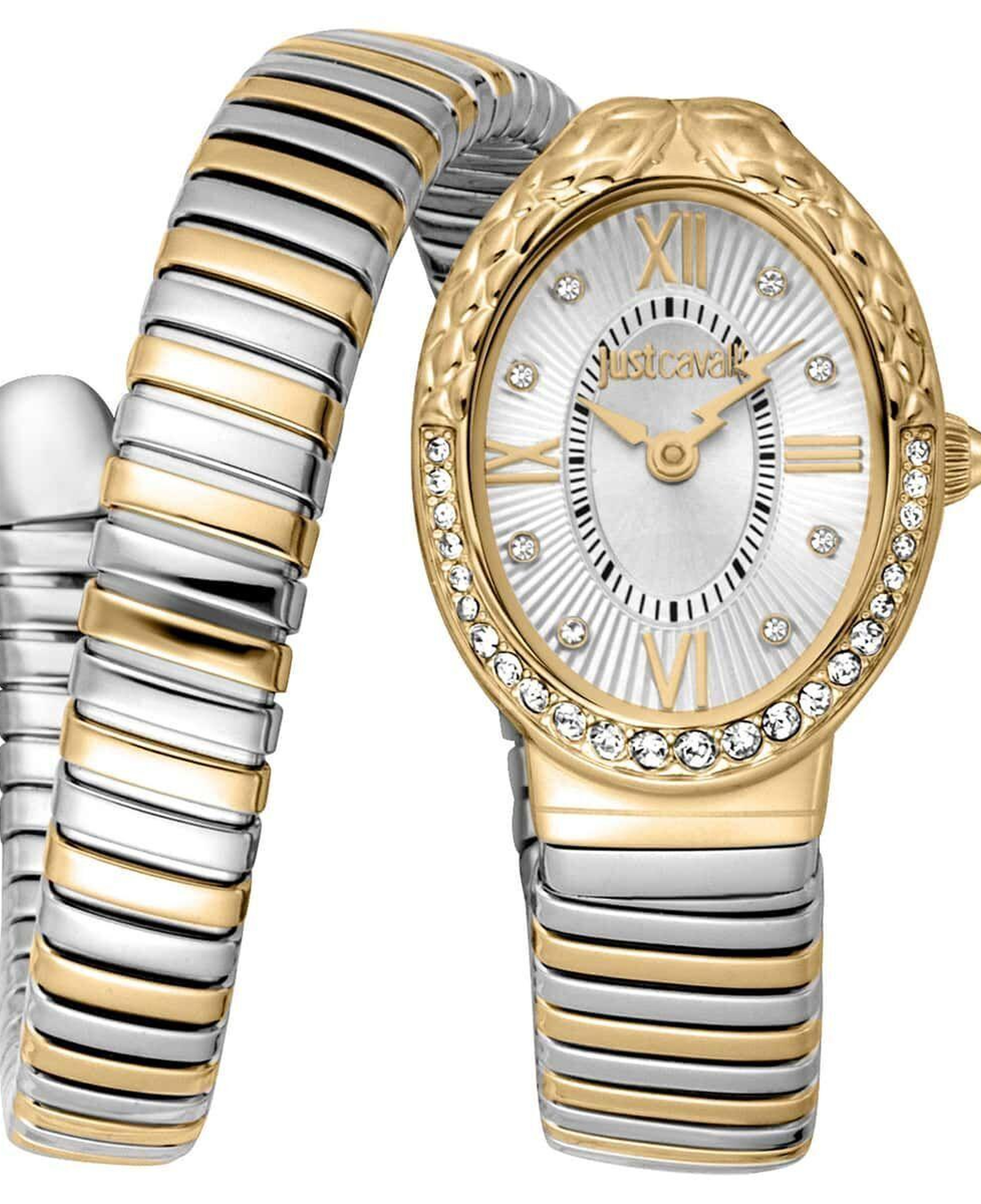 Just Cavalli JC1L390M0055 Kadın Kol Saati