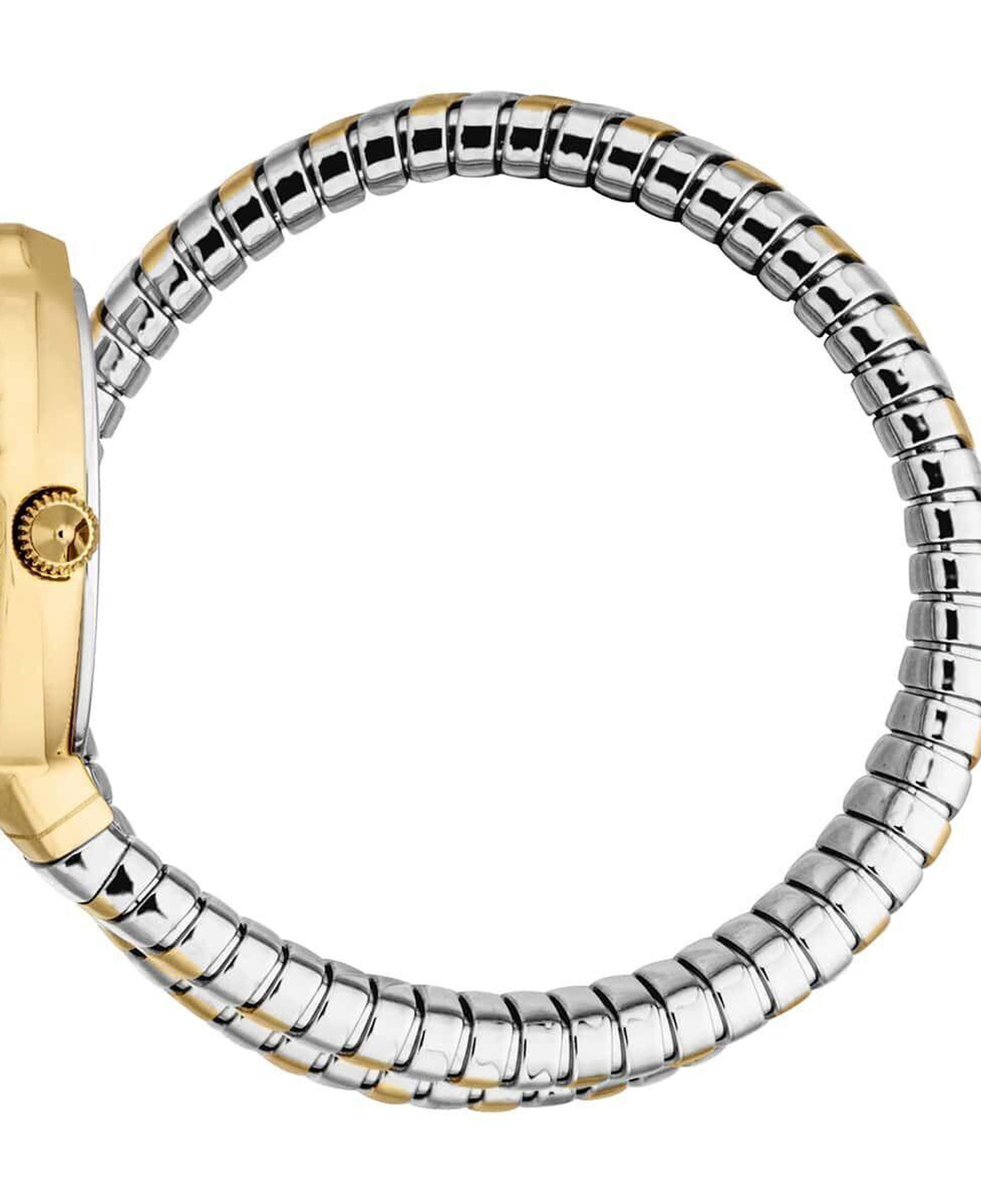 Just Cavalli JC1L390M0055 Kadın Kol Saati