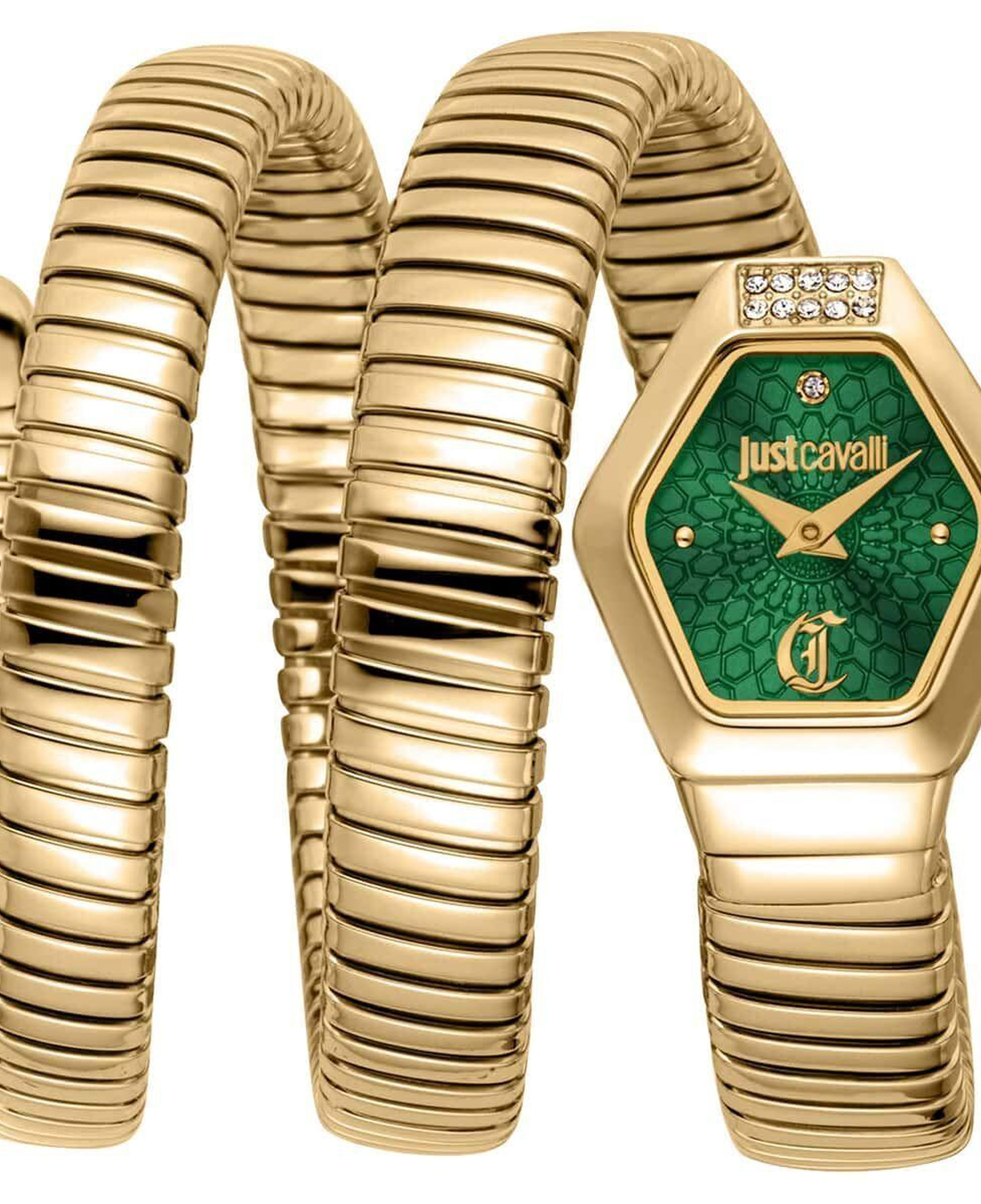 Just Cavalli JC1L395M0035 Kadın Kol Saati